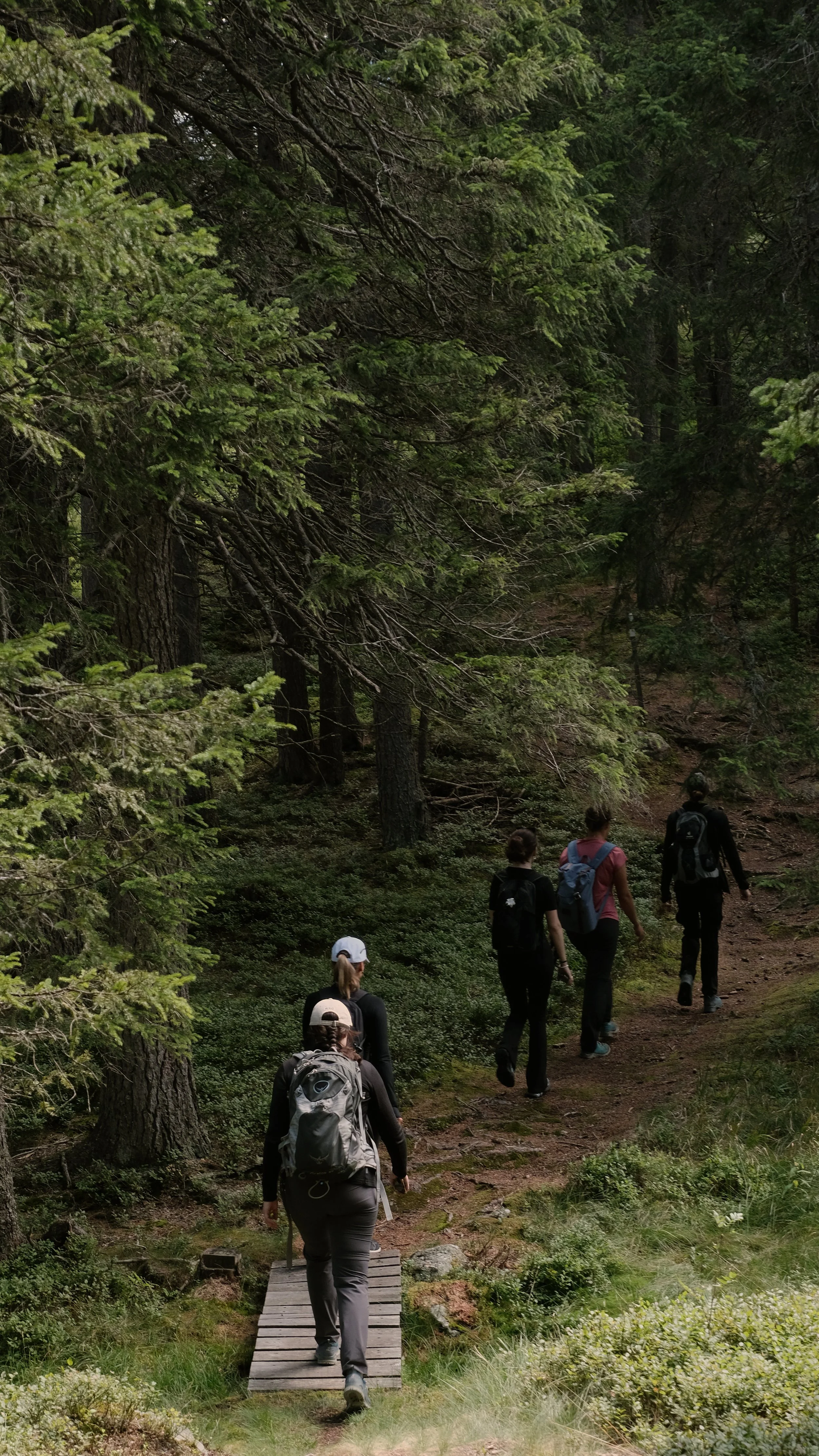 Keola_Retreat_Wanderung4_Tag3.jpg