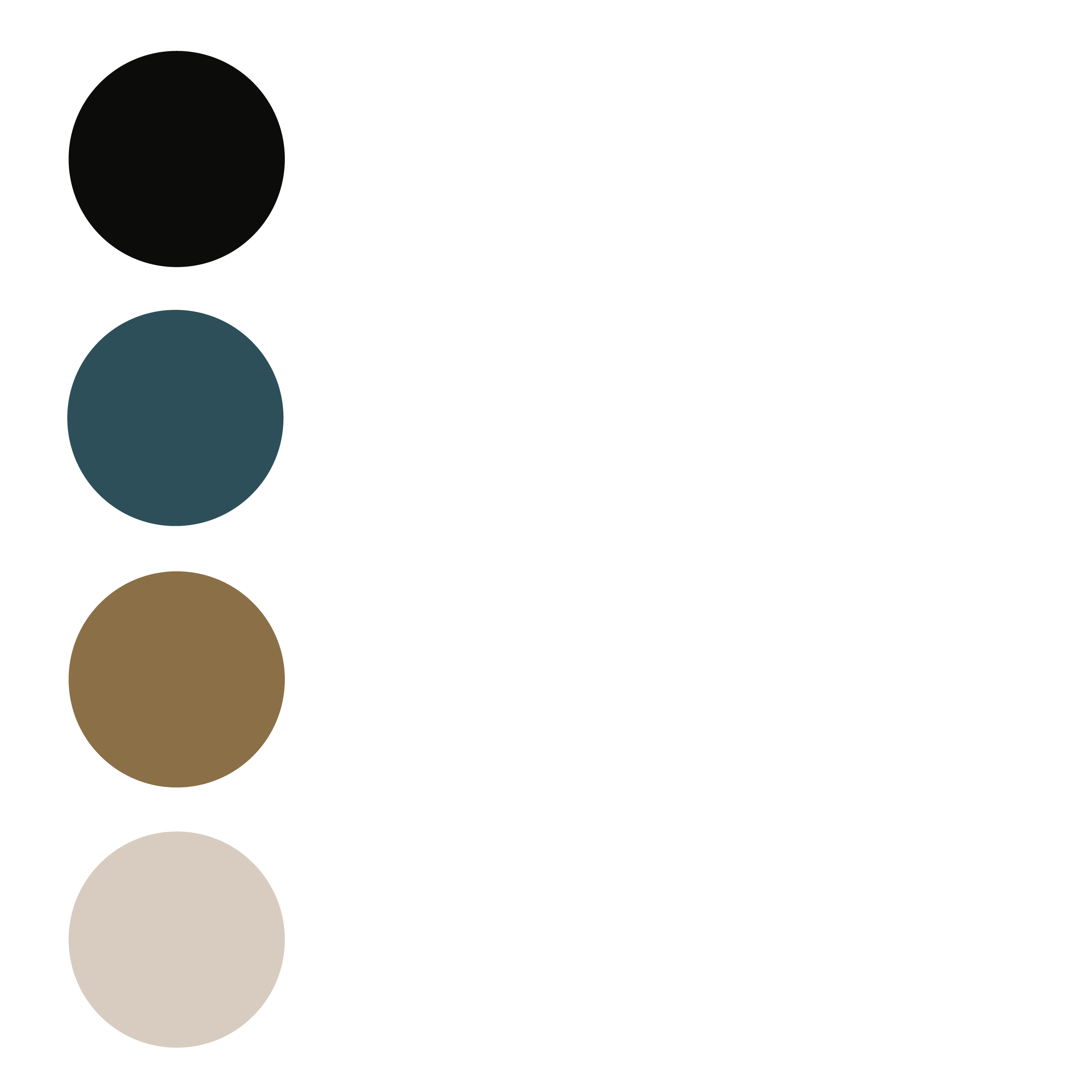Vier vertikale, unterschiedlich farbige Kreise. Oben: Schwarz. Zweiter: Dunkelblau. Dritter: Braun. Unten: Beige.