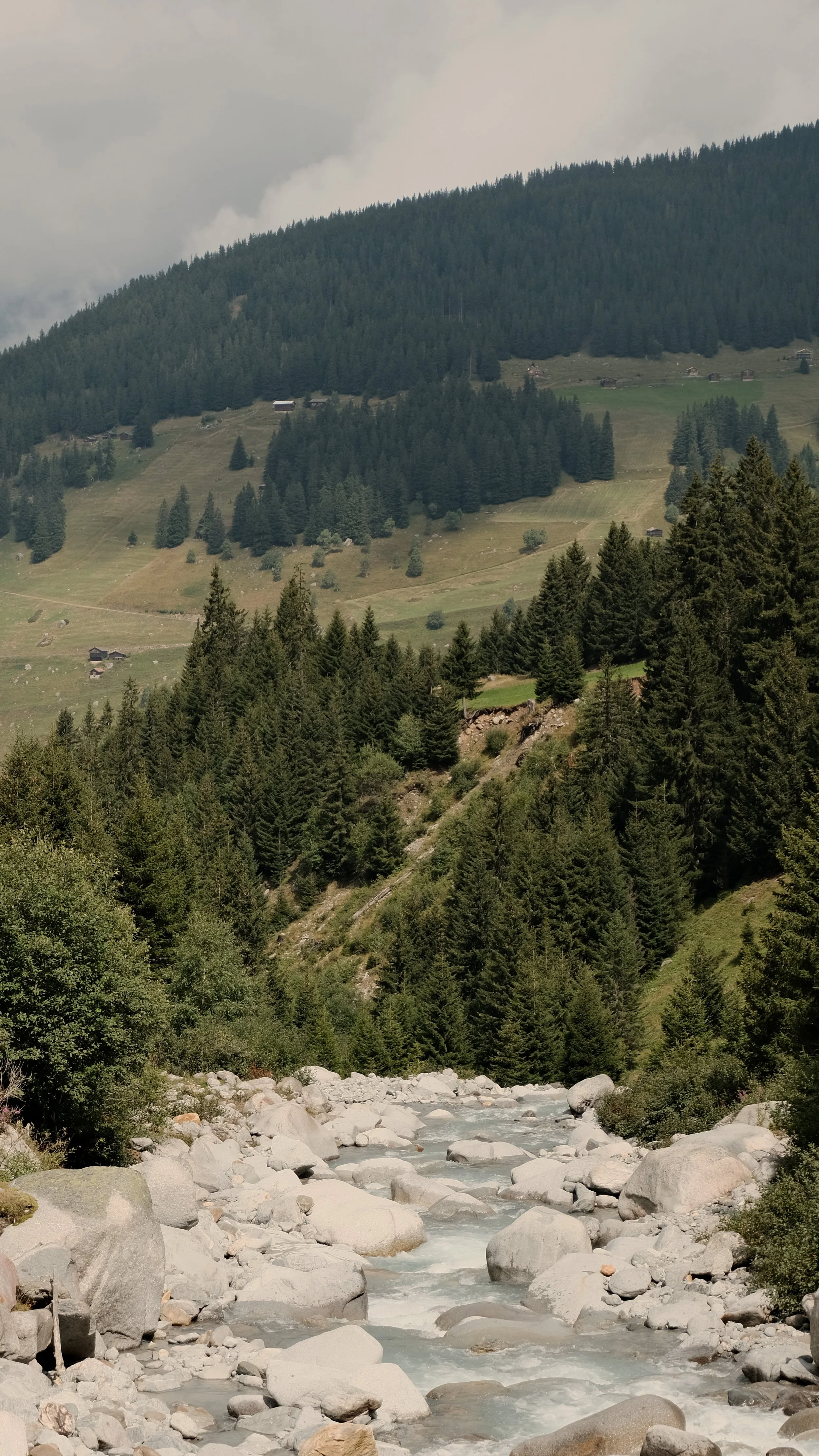 Keola_Retreat_Wanderung16.jpg