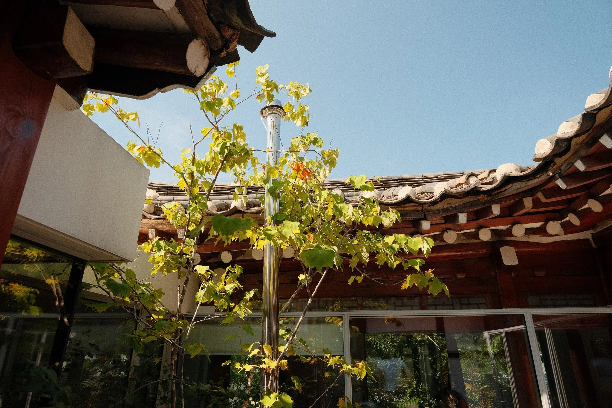 Ein Blick nach oben auf den Himmel, umgeben von einem traditionellen japanischen Dach mit Ziegeln, einer Pflanze mit grünen und einigen roten Blättern und einem metallischen Regenrohr.