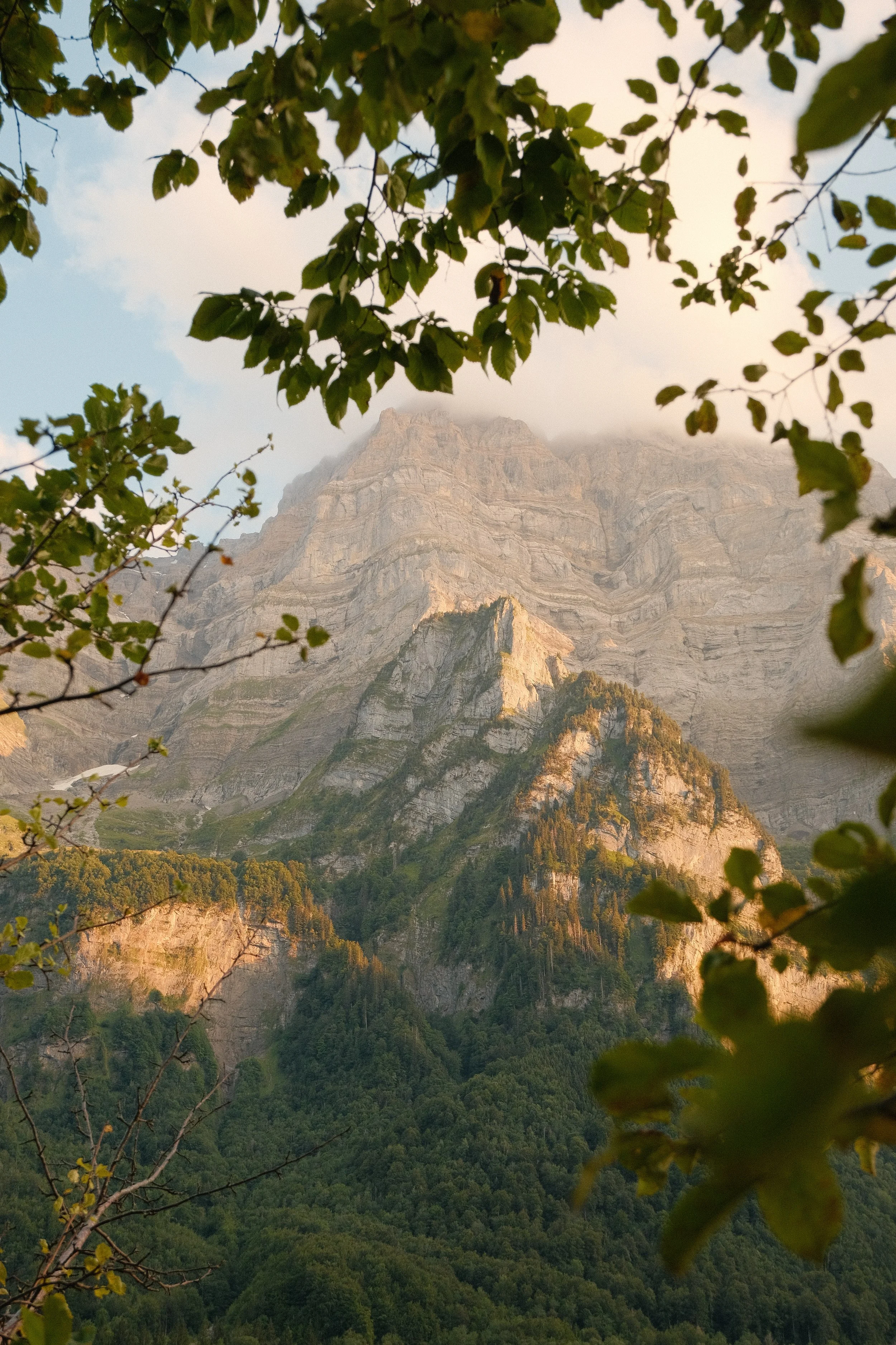 Berglandschaft mit bewaldetem Tal und Felsen, umgeben von Bäumen, bei Sonnenuntergang.