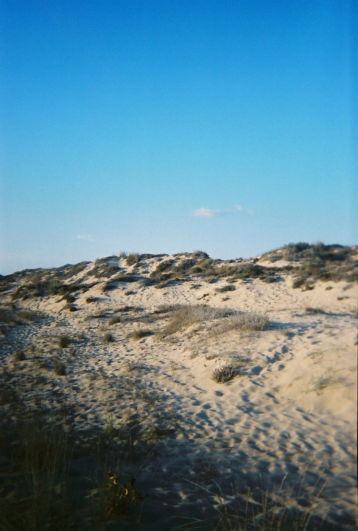 Wiederfaenger-005.jpg