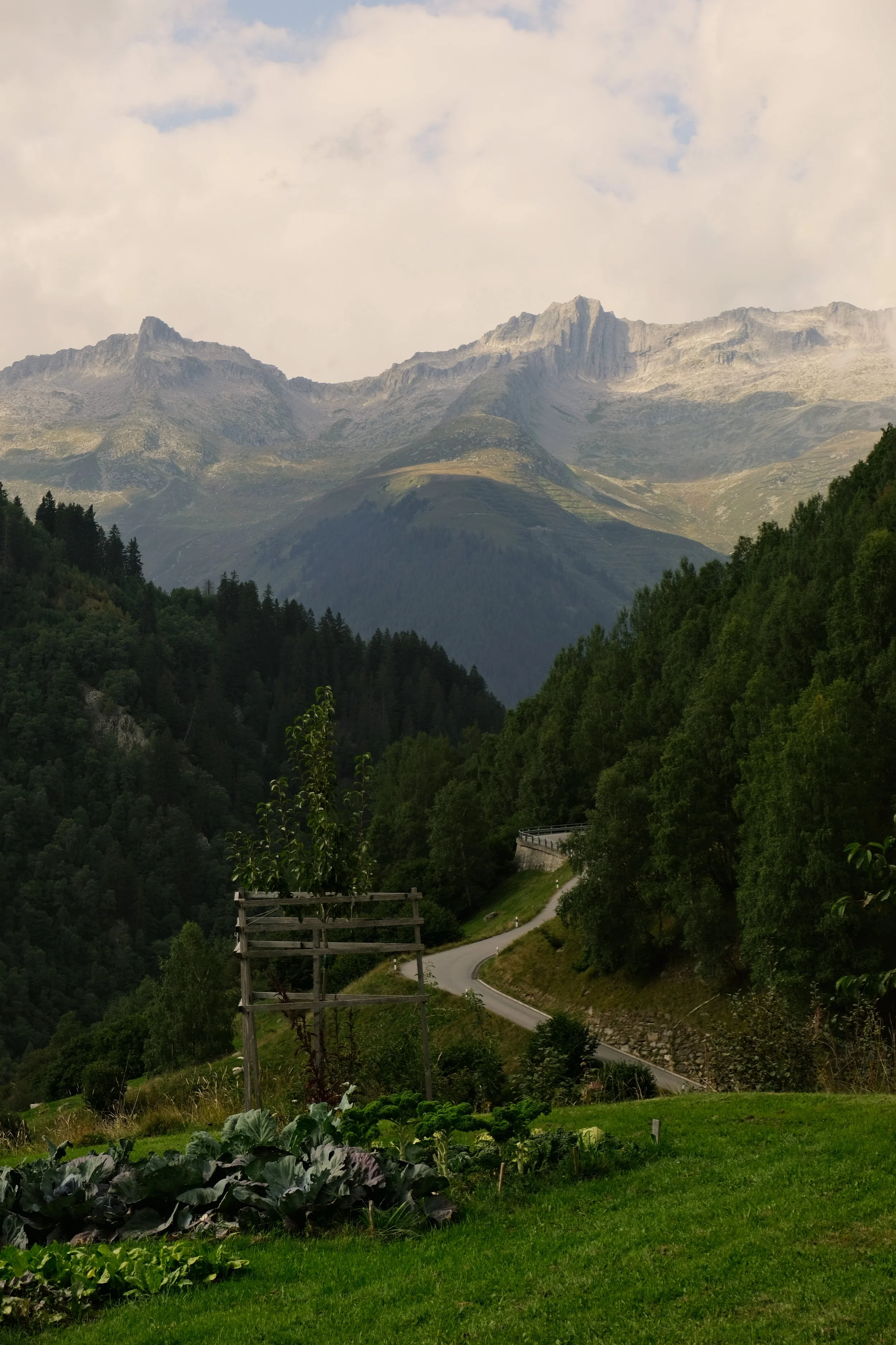 Keola_Retreat_Unterkunft9.jpg
