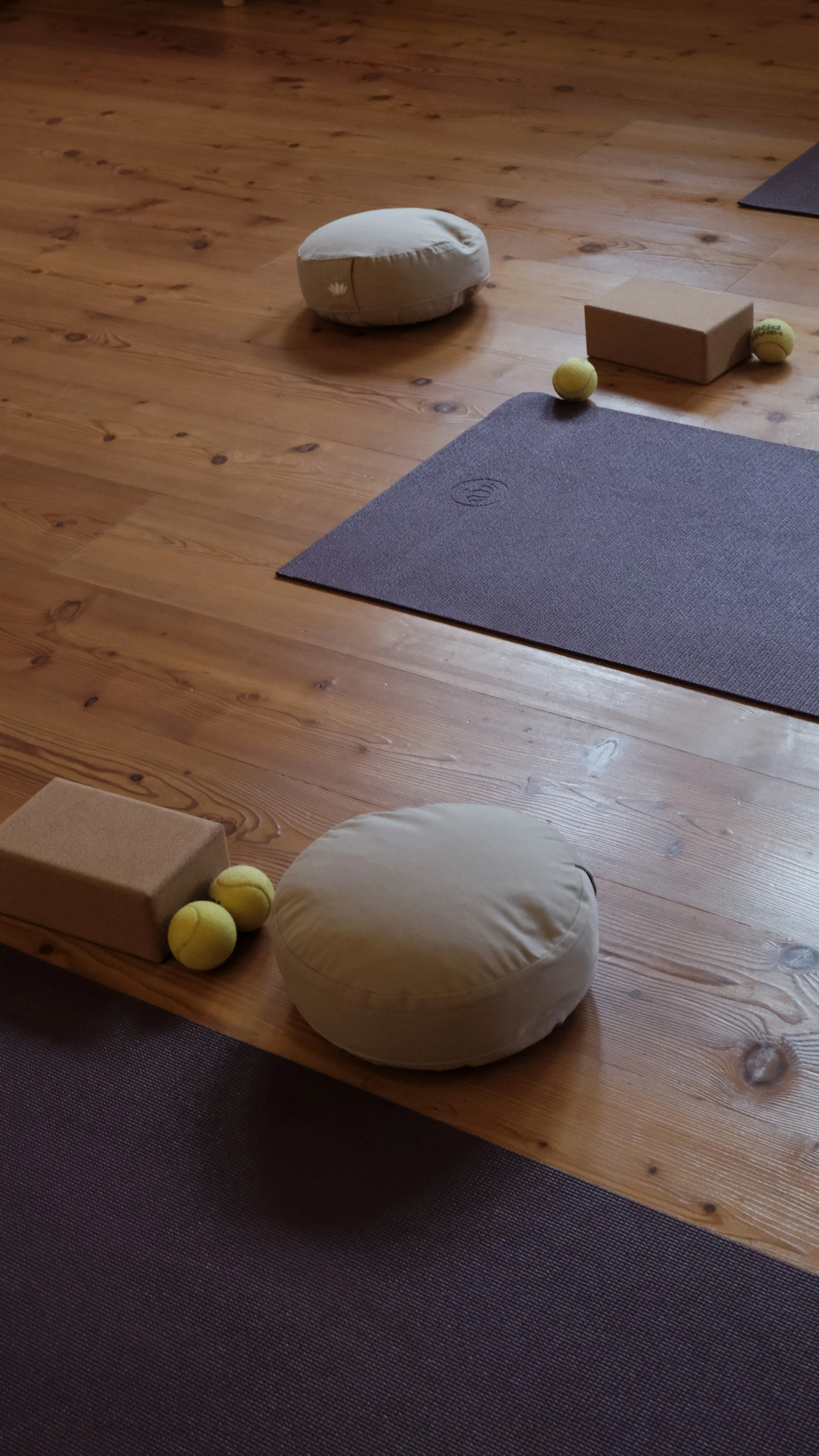 Keola_Retreat_Yoga.jpg