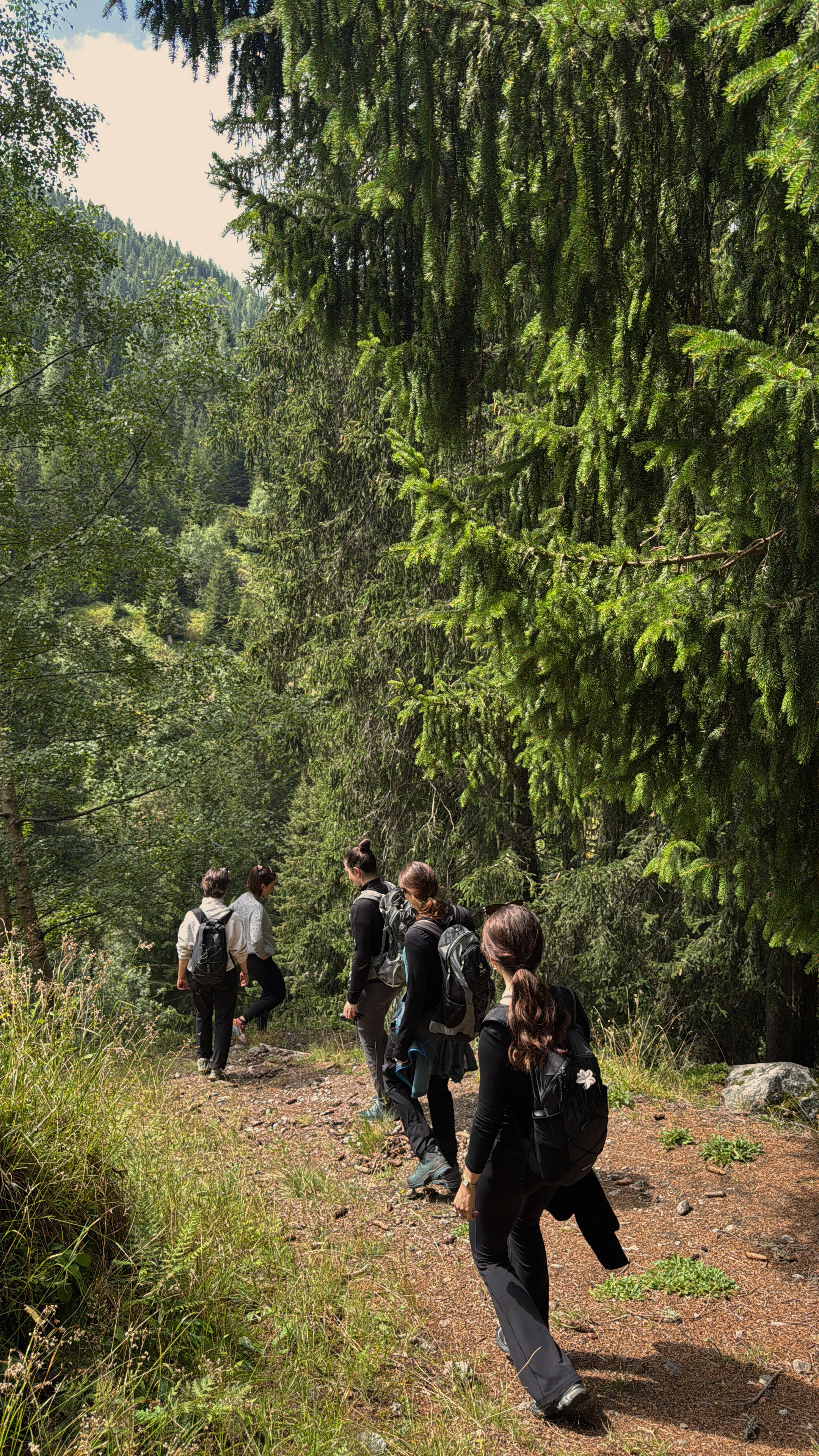Keola_Retreat_Wanderung11.jpg