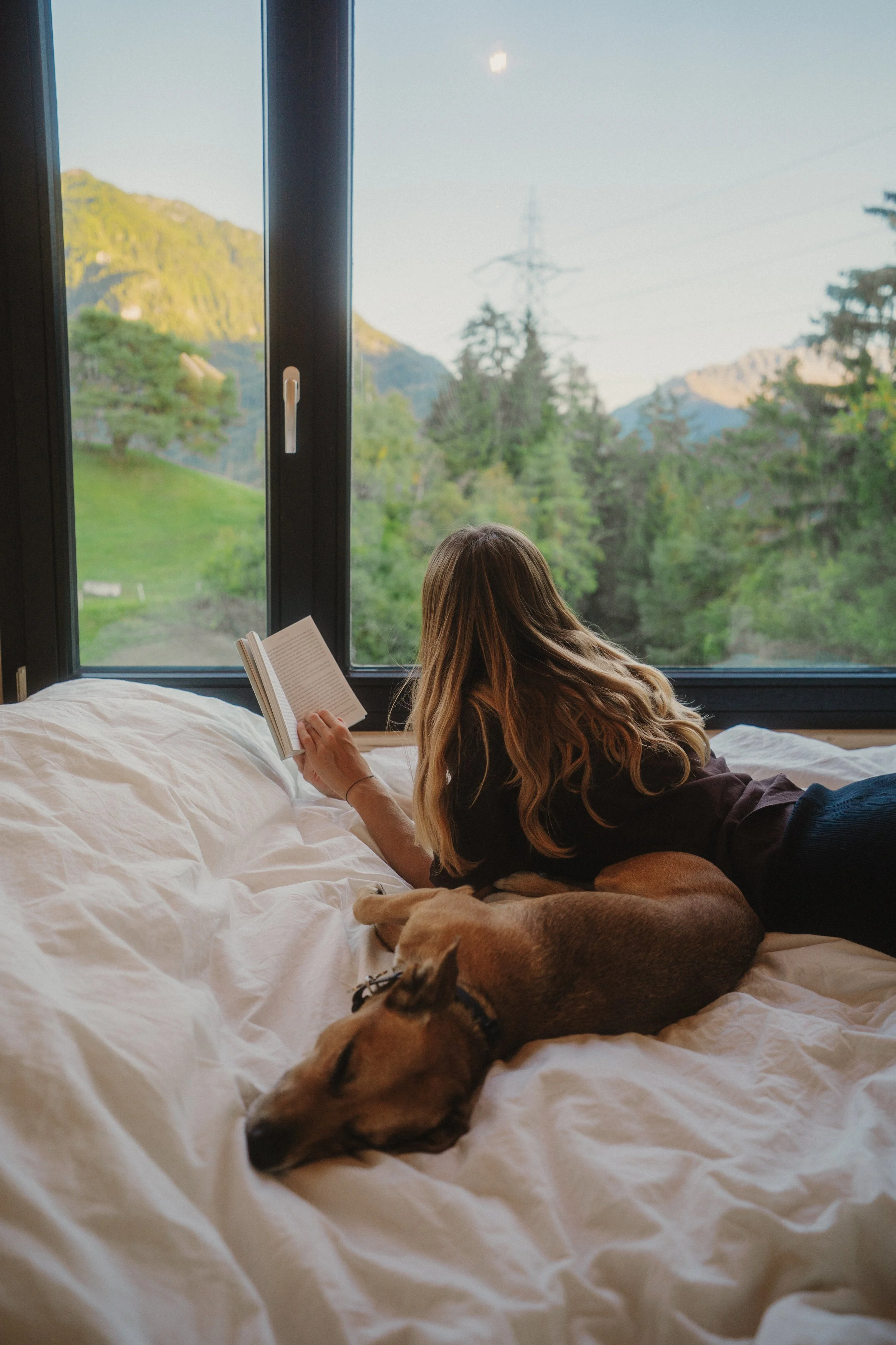 Frau liest im Bett mit Hund vor einem Fenster mit Bergblick.