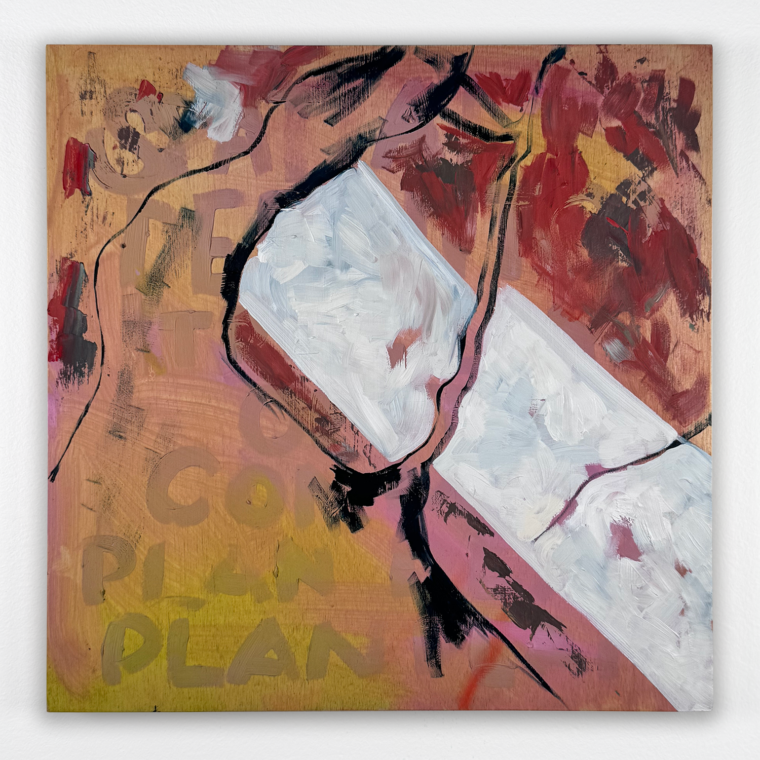 iola_2026_4.png