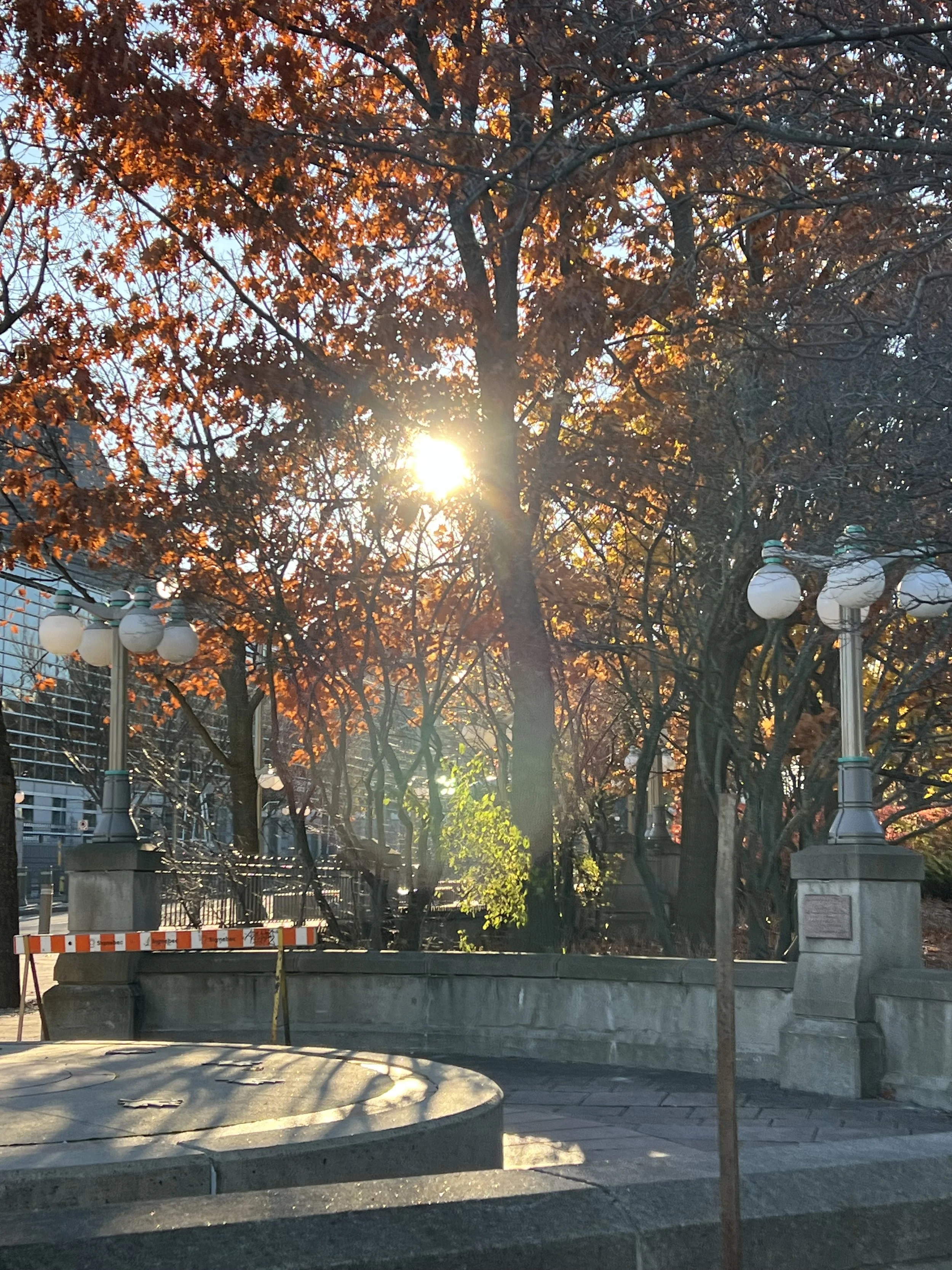 IMG_1442.jpeg