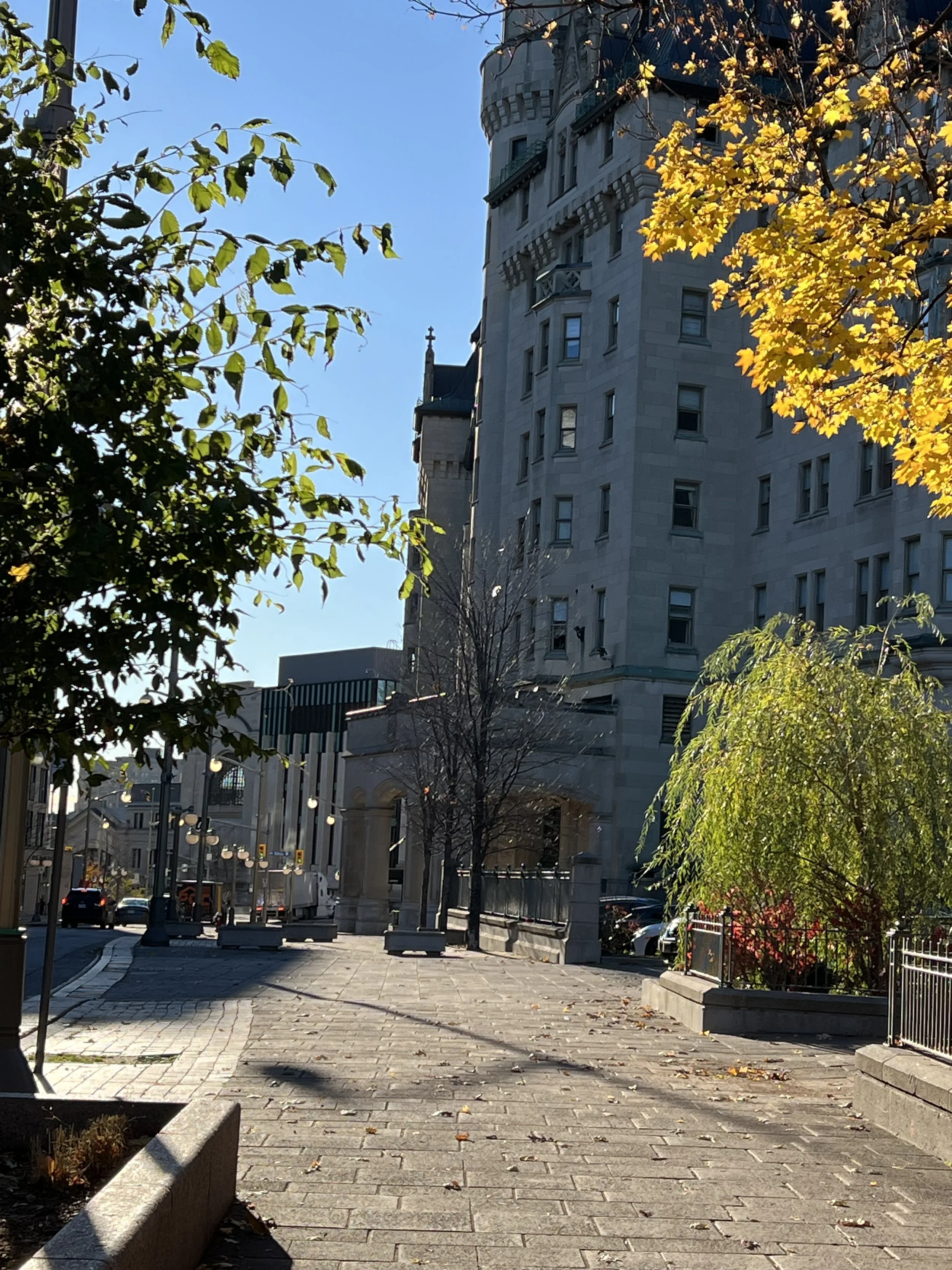 IMG_1552.jpeg