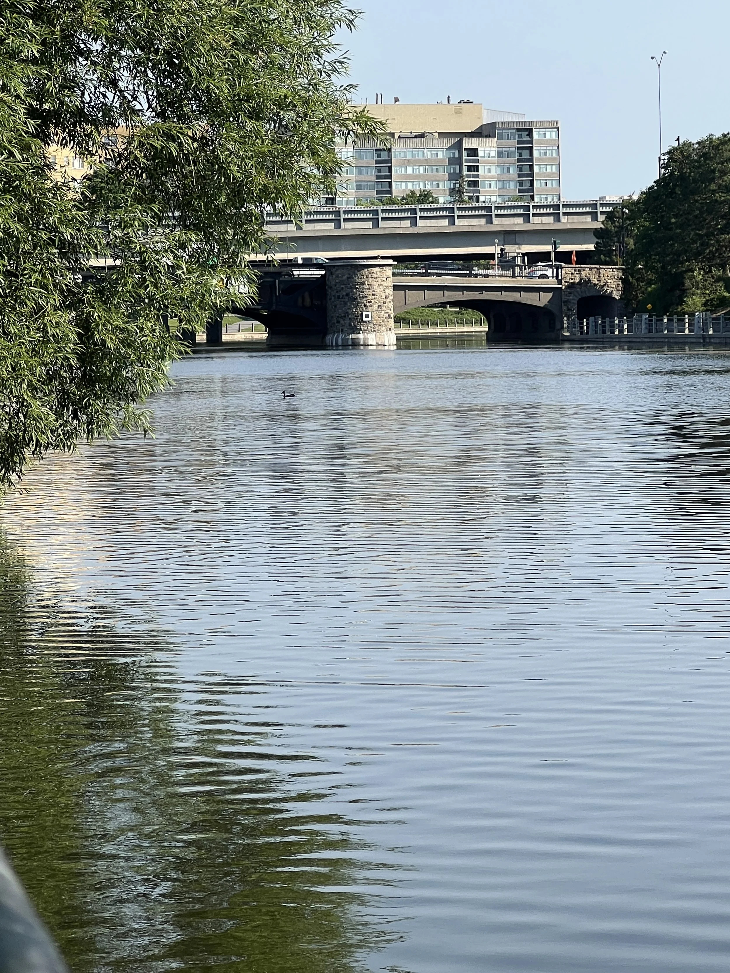 IMG_6498.jpeg