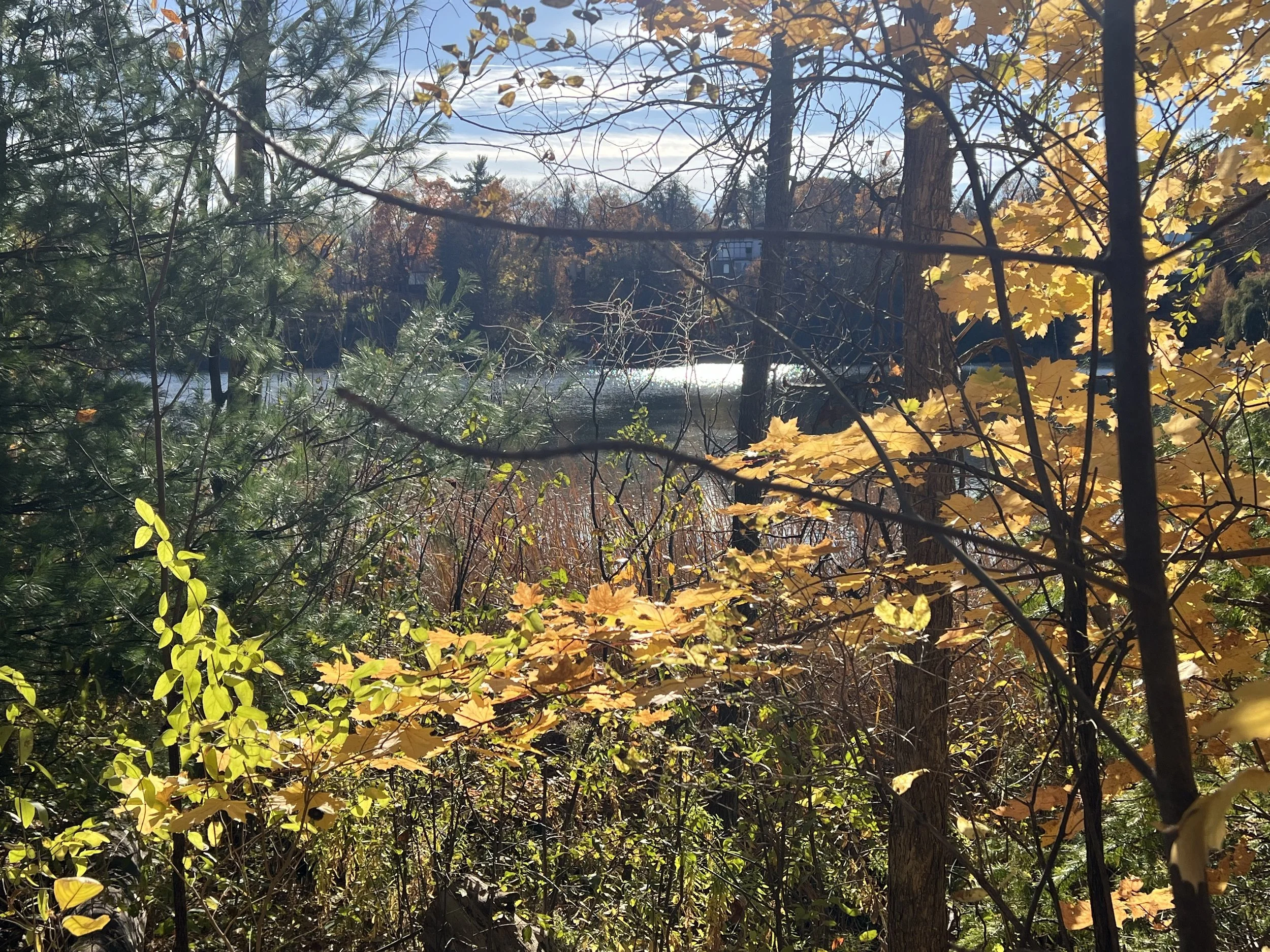 IMG_0691.jpeg