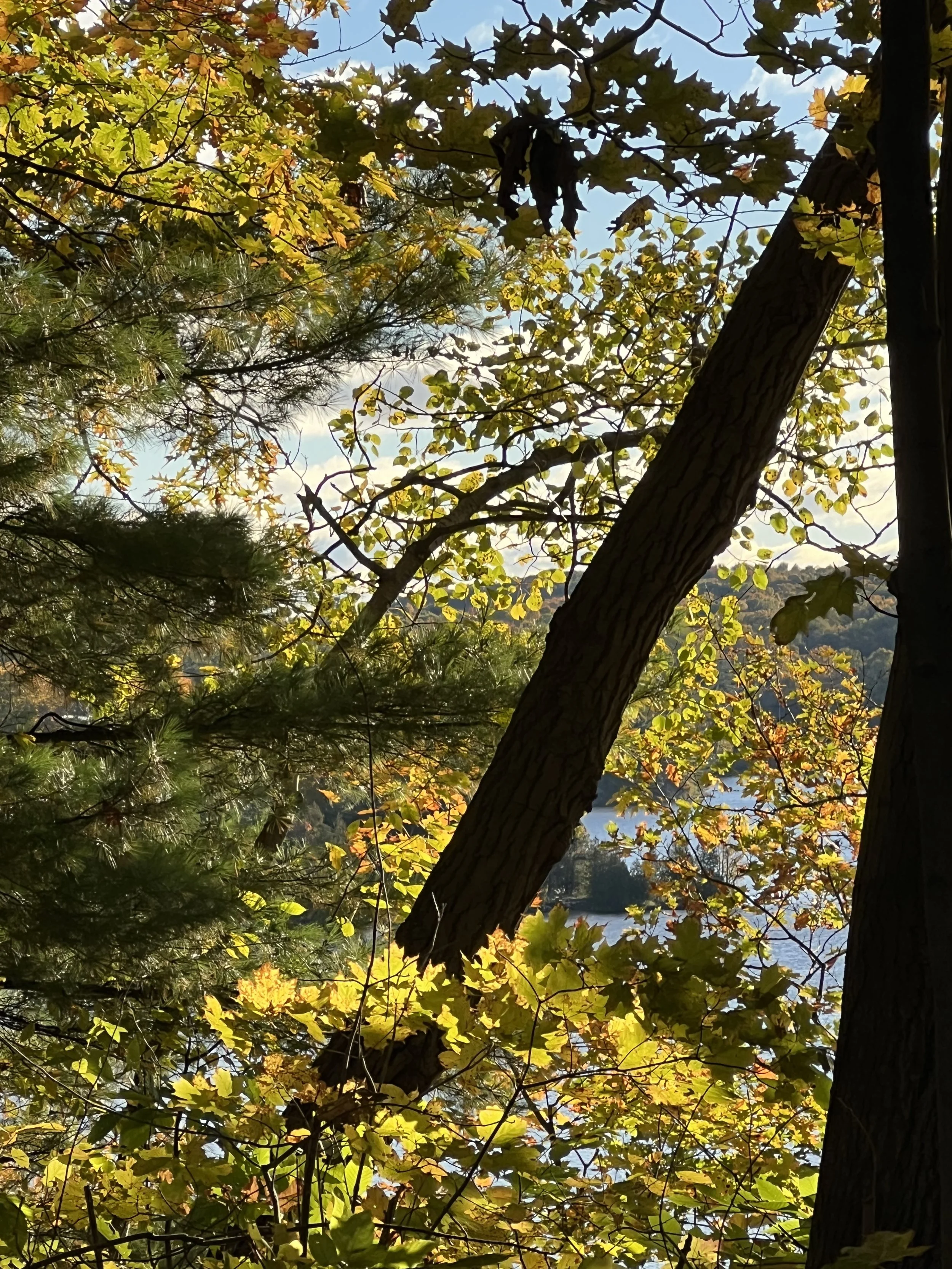 IMG_8904.jpeg