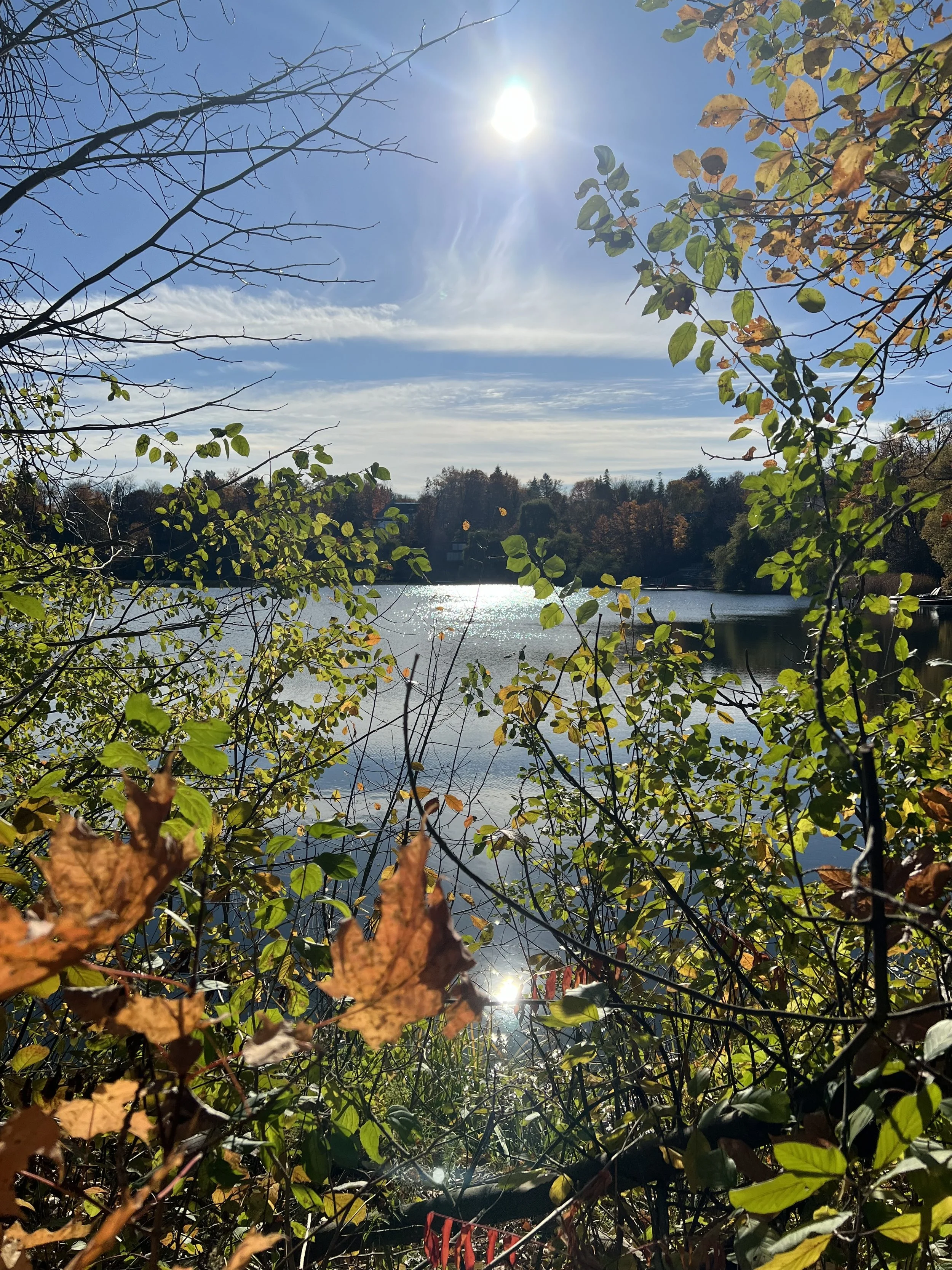 IMG_0609.jpeg
