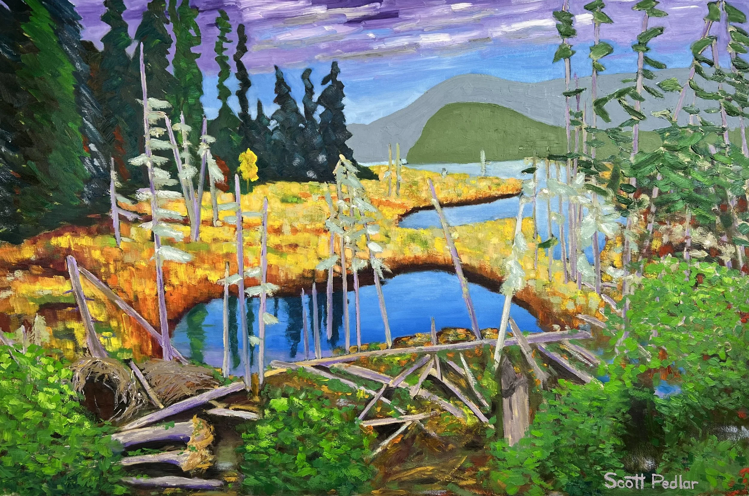 Radiance on the Beaver pond