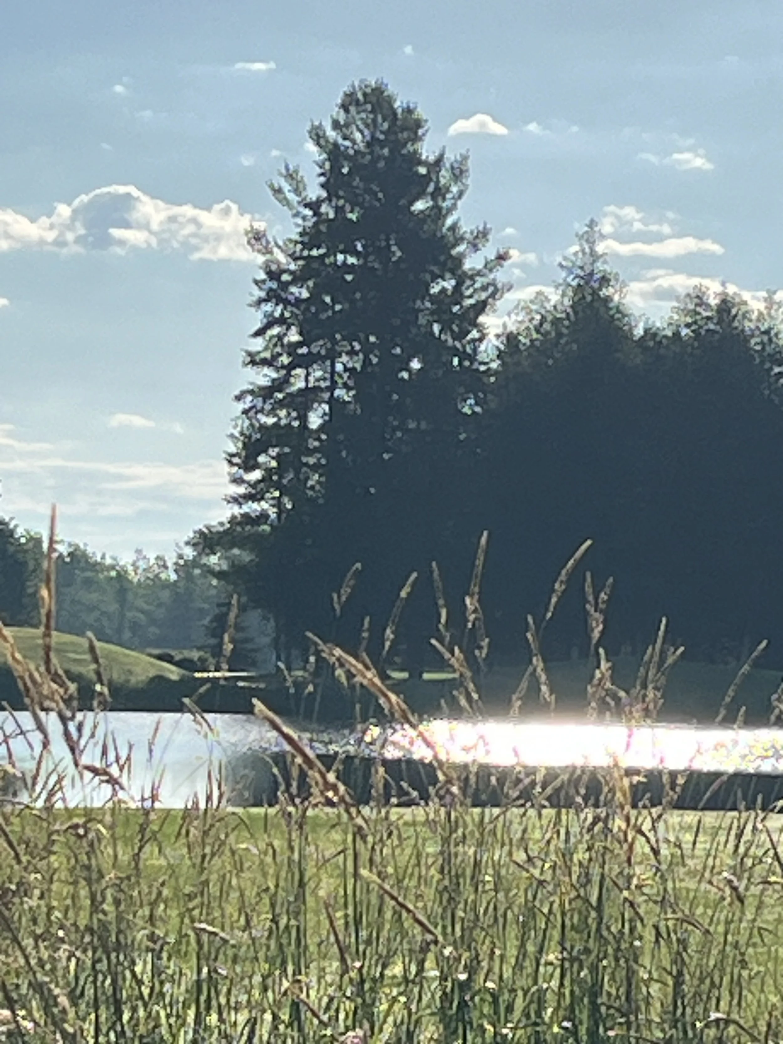 IMG_6162.jpeg