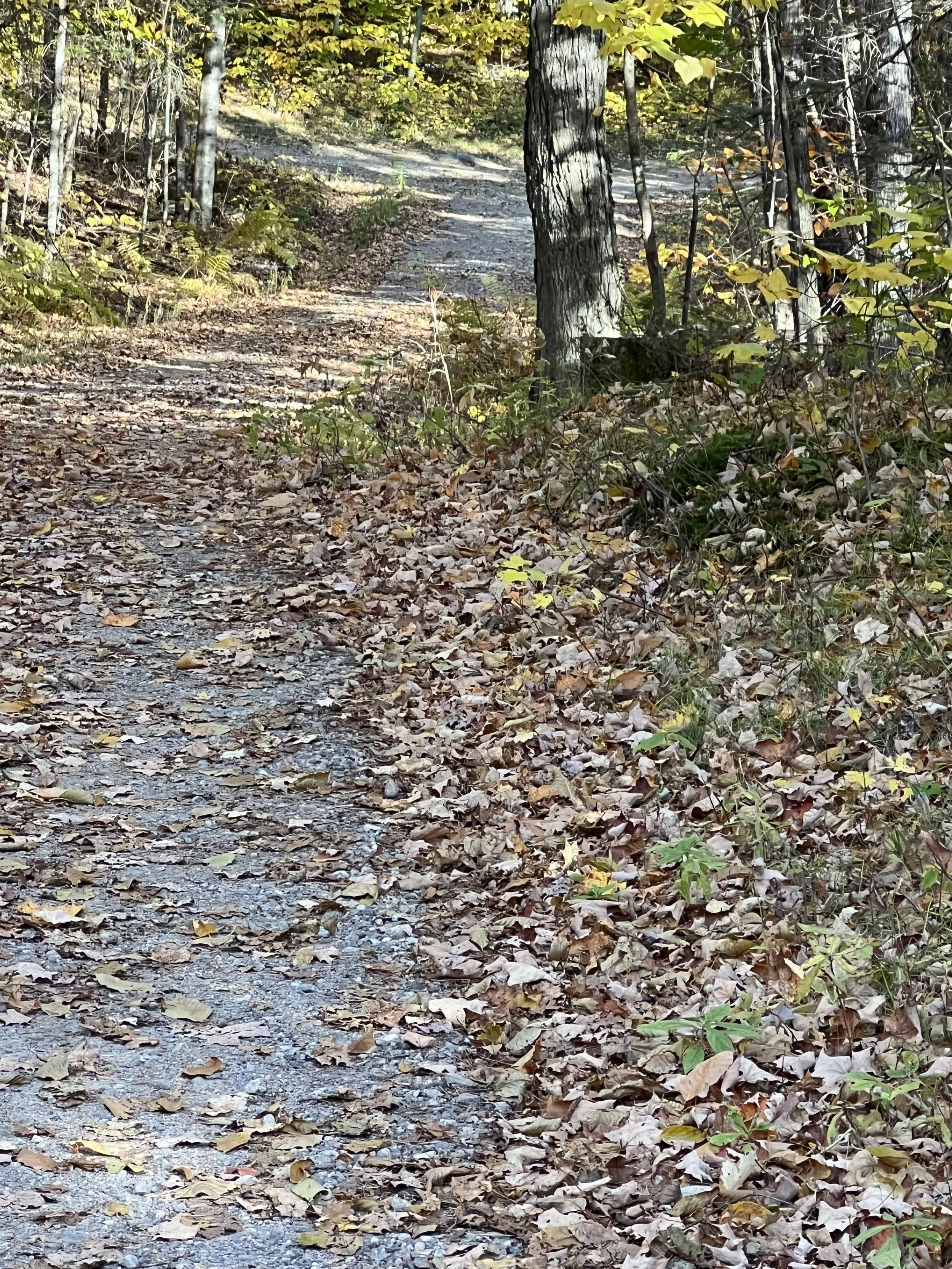IMG_9465.jpeg