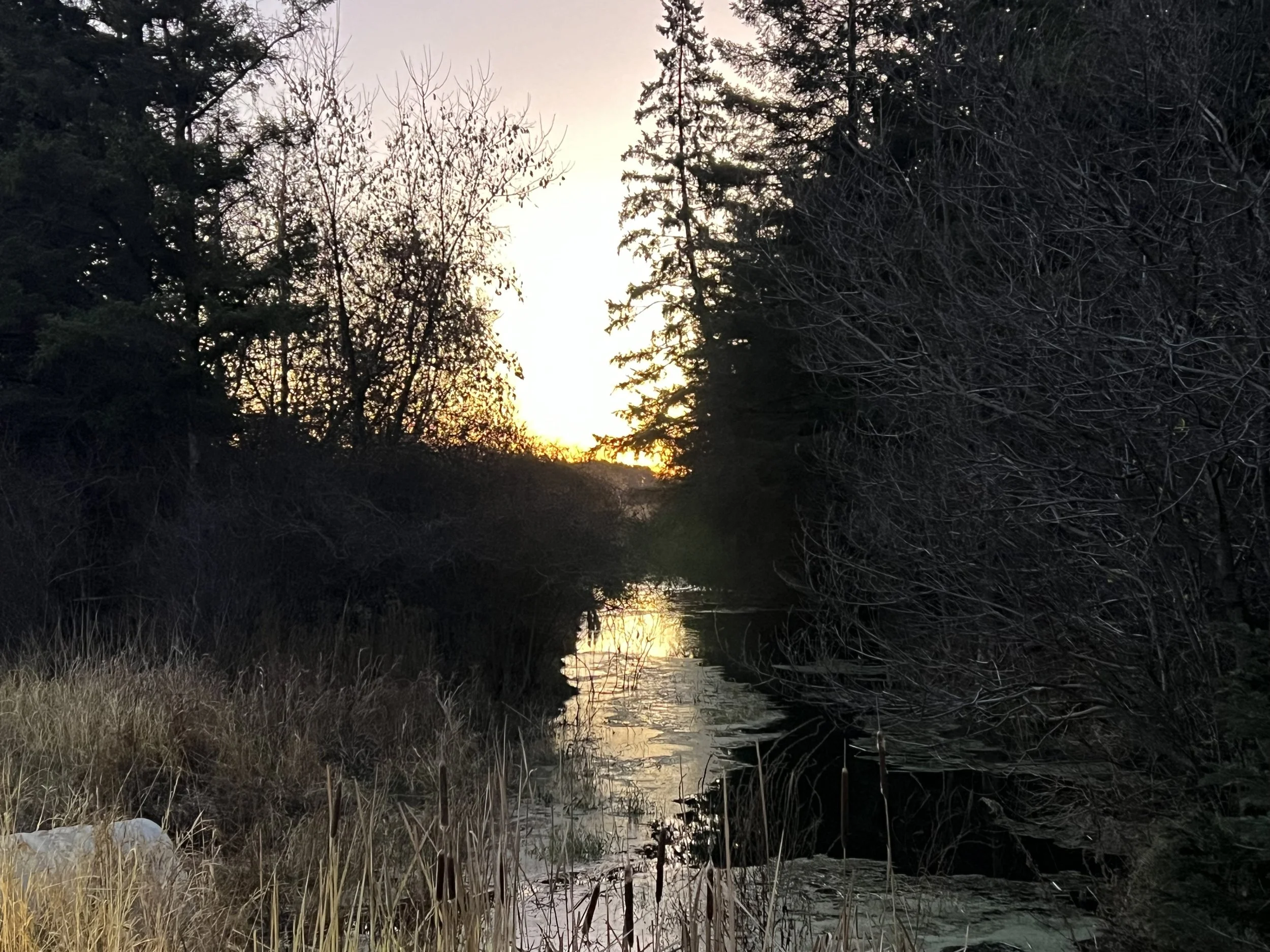 IMG_1835.jpeg