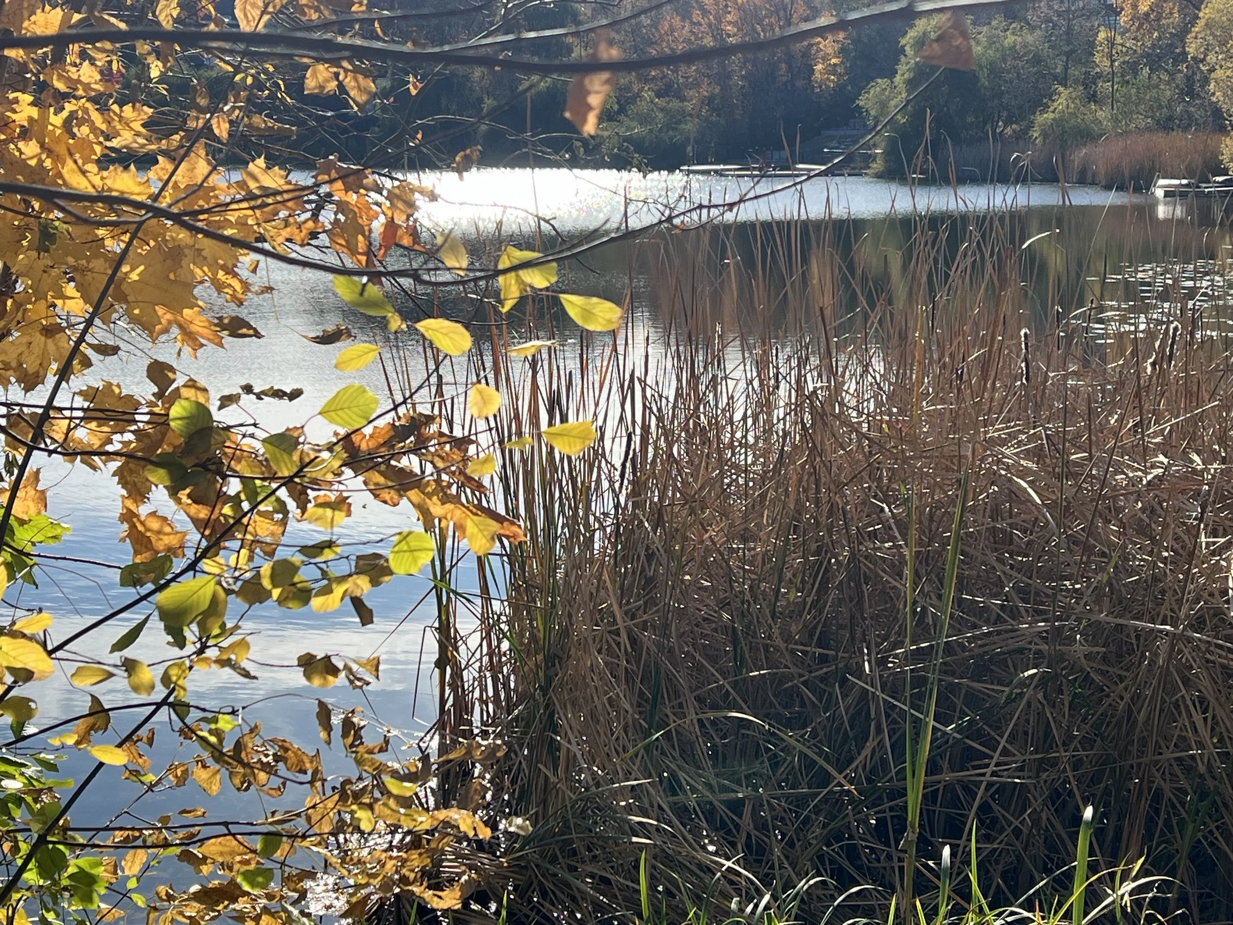 IMG_0604.jpeg