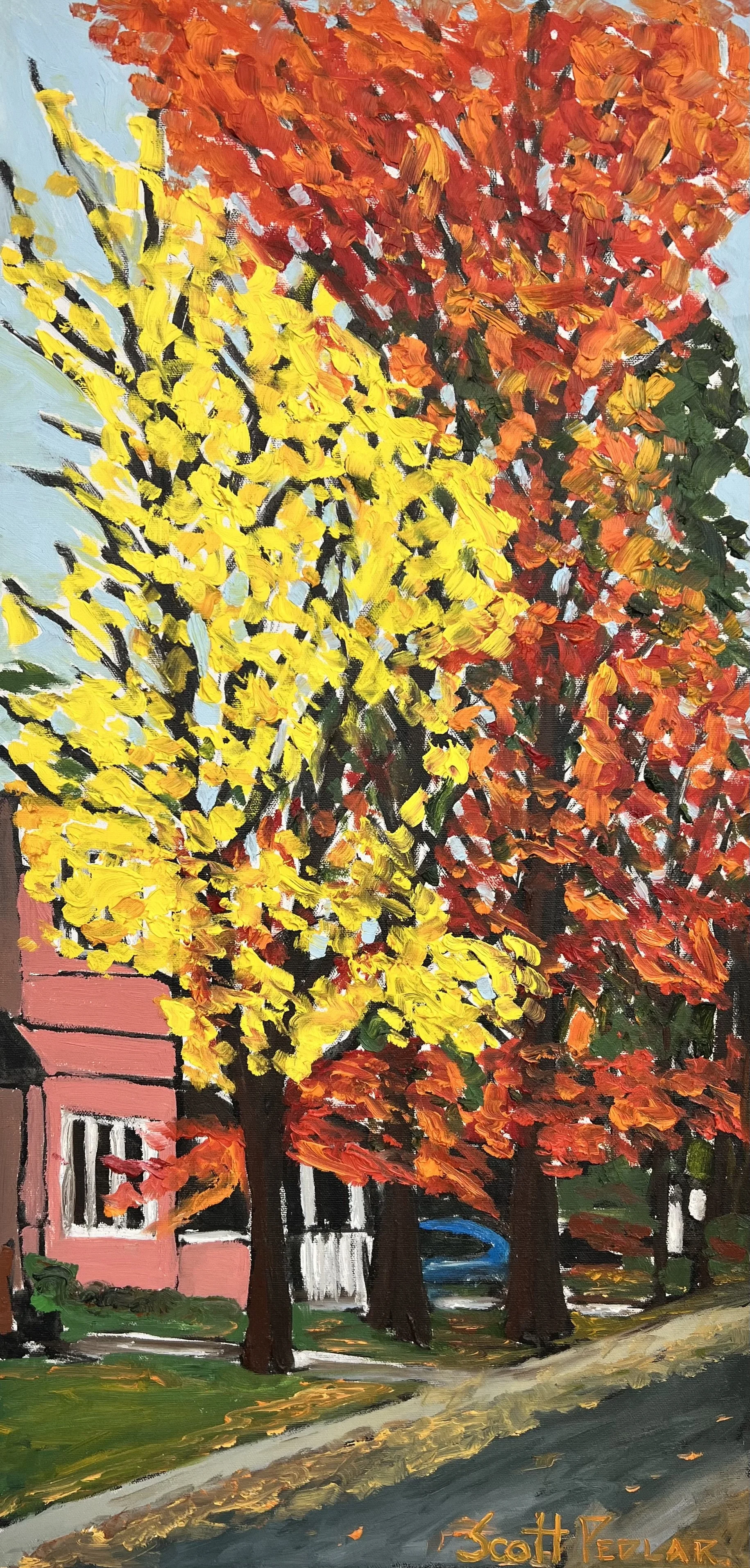 Fall in The Glebe