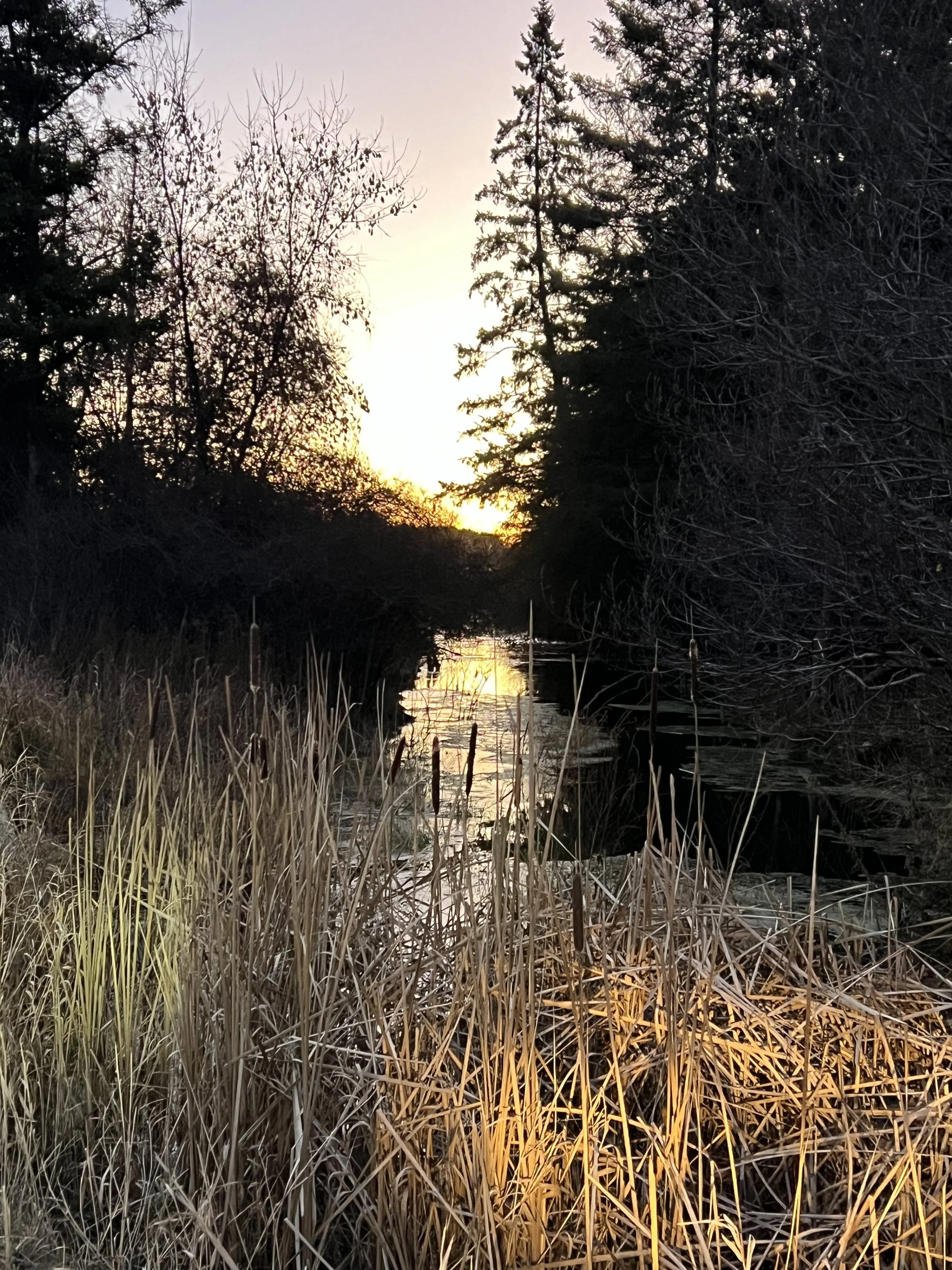 IMG_1831.jpeg