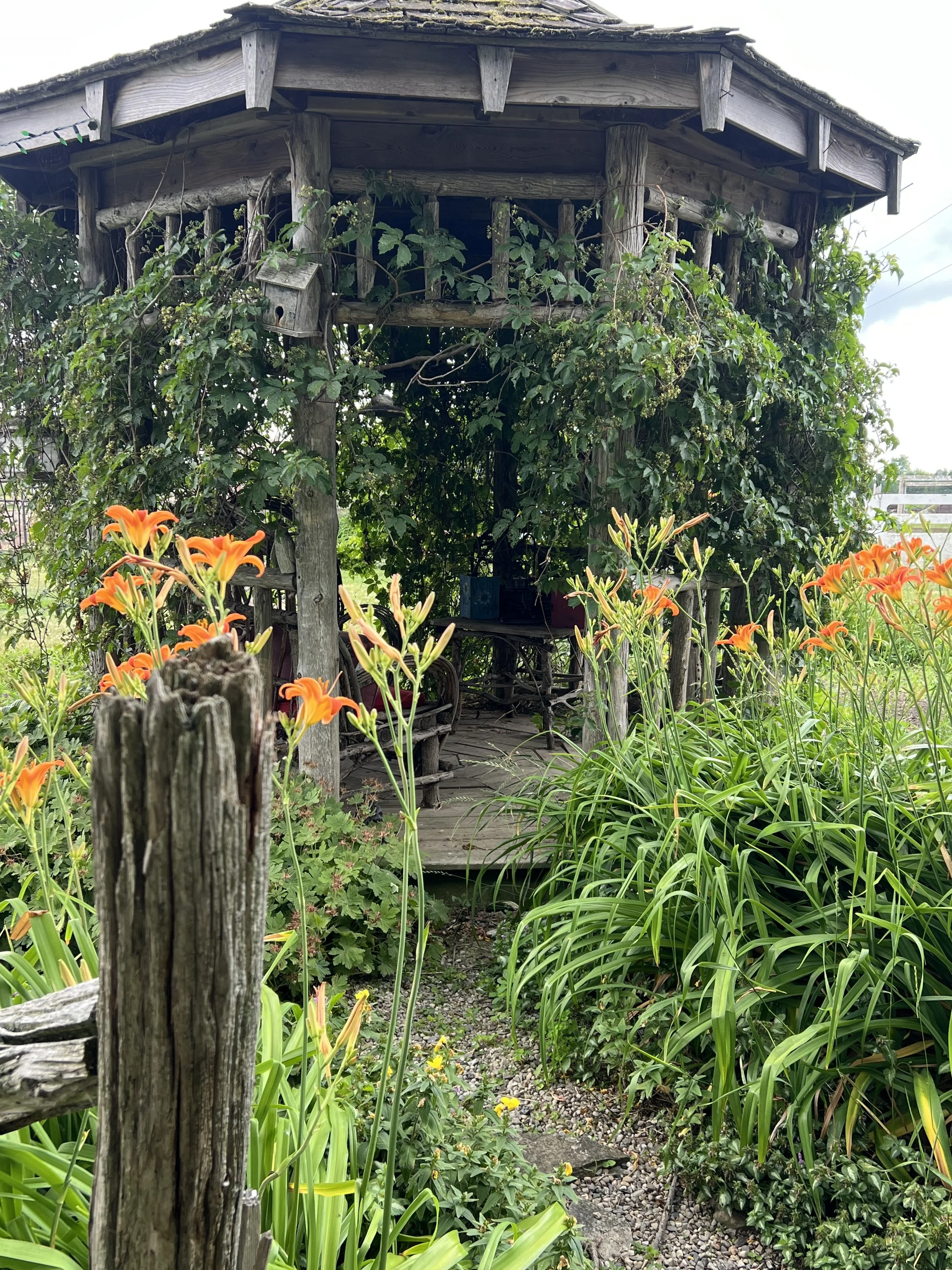 IMG_6422.jpeg