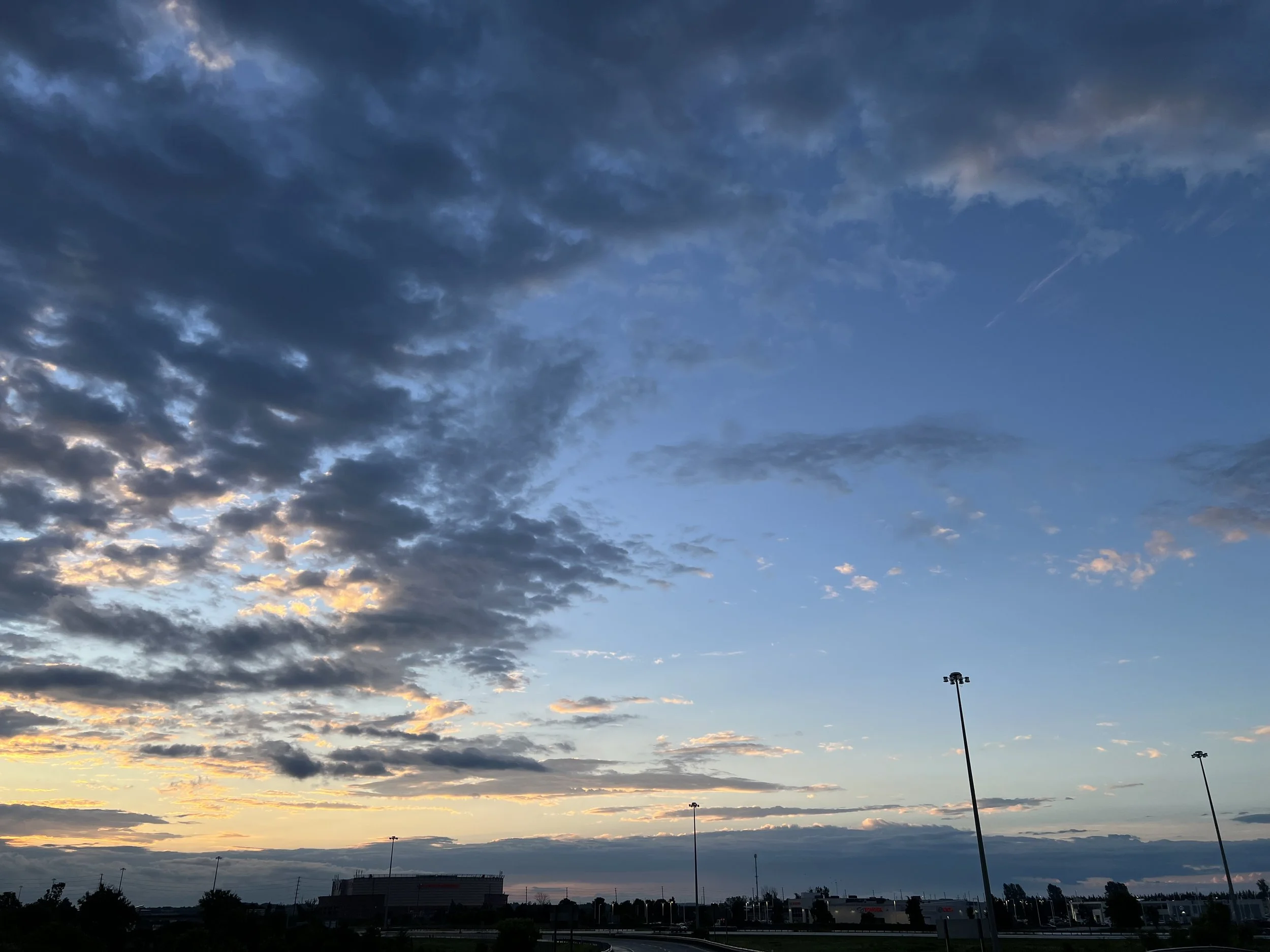 IMG_5925.jpeg
