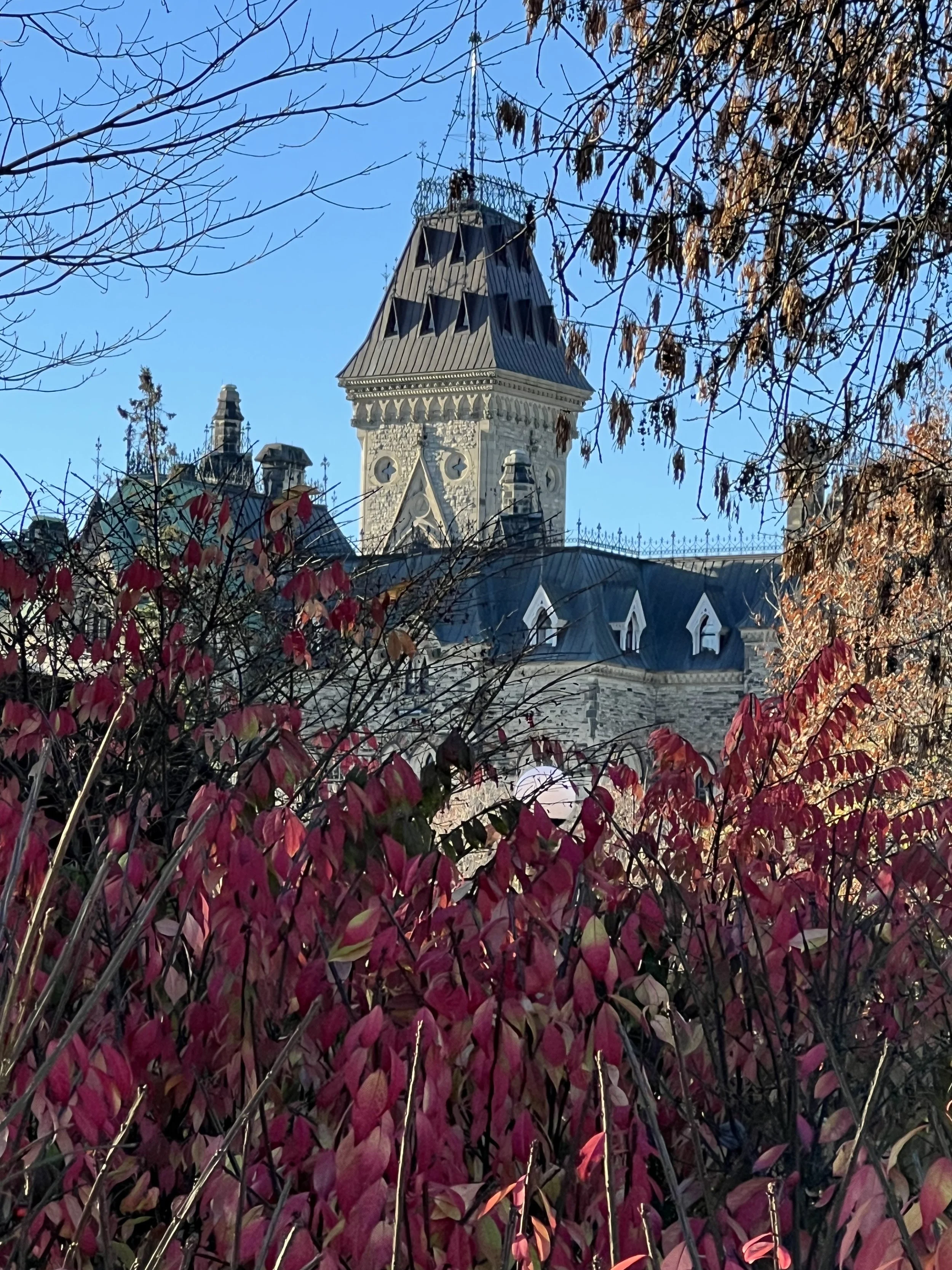 IMG_1541.jpeg
