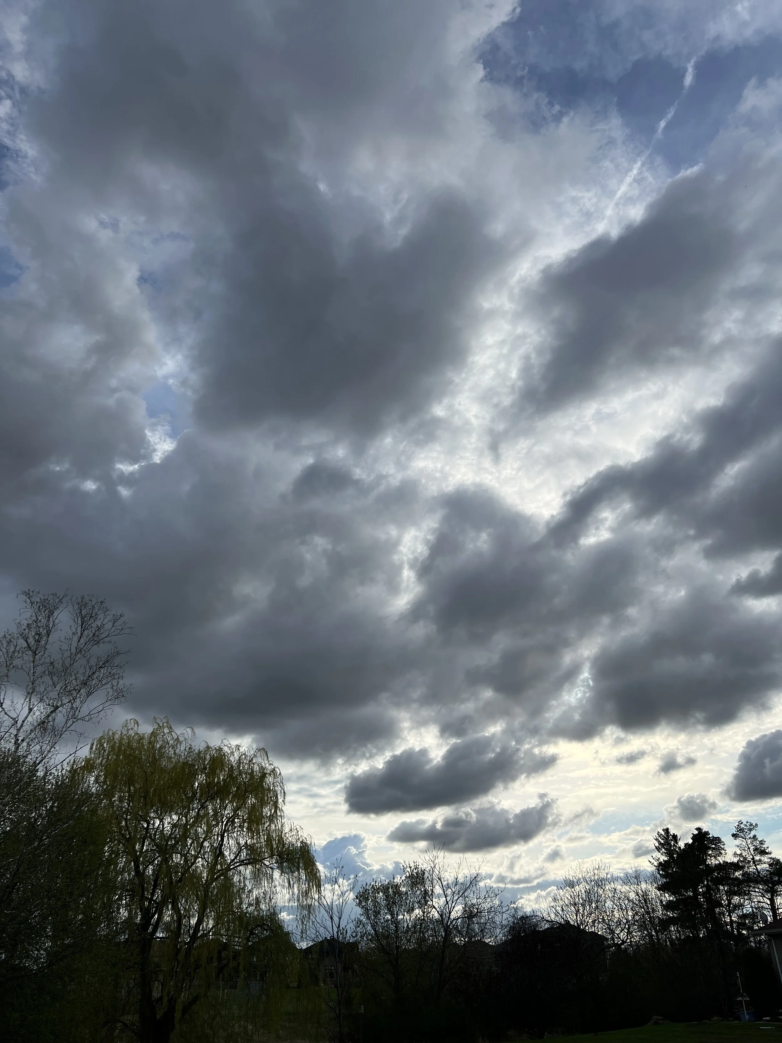 IMG_4976.jpeg