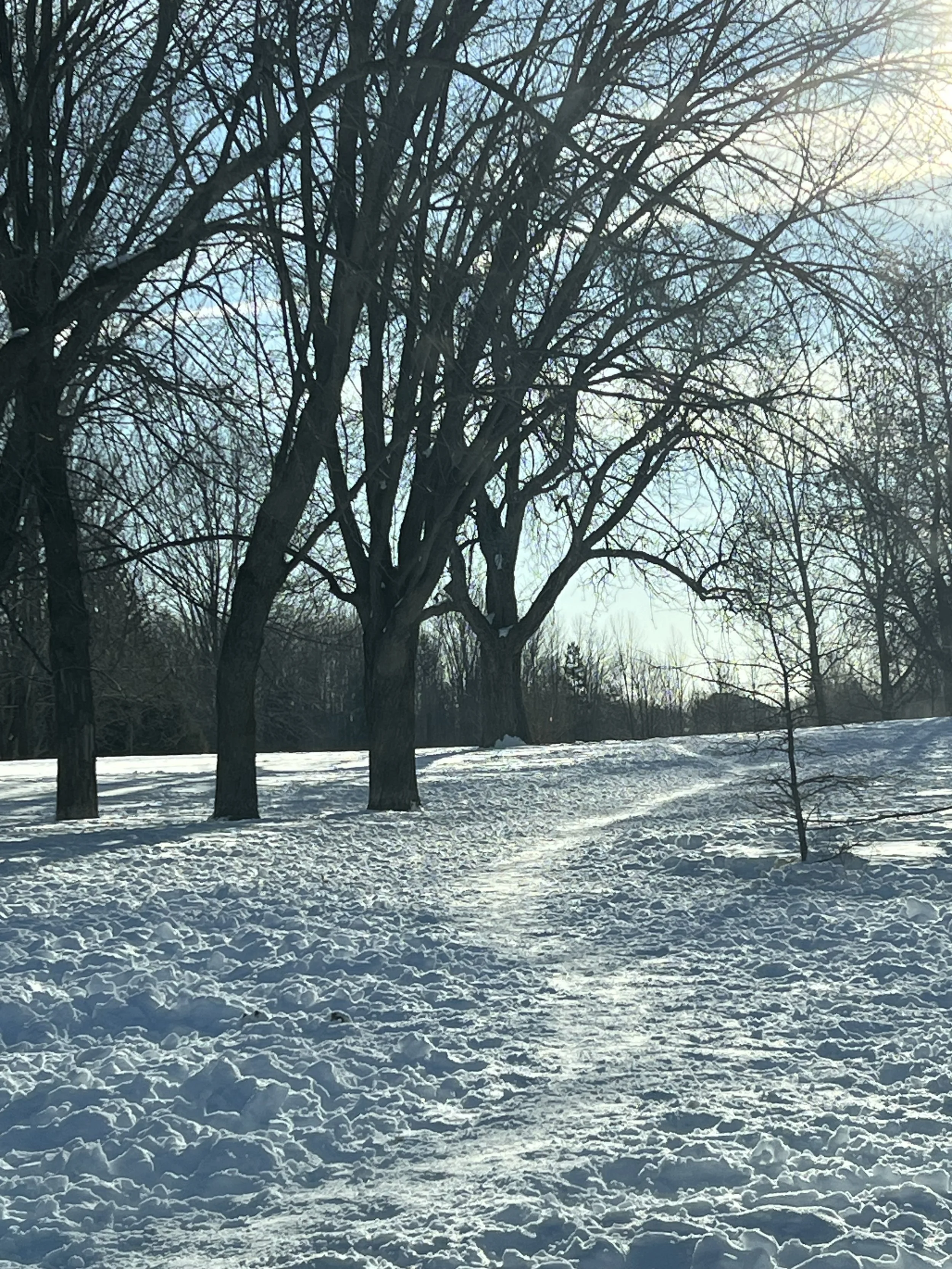 IMG_3707.jpeg
