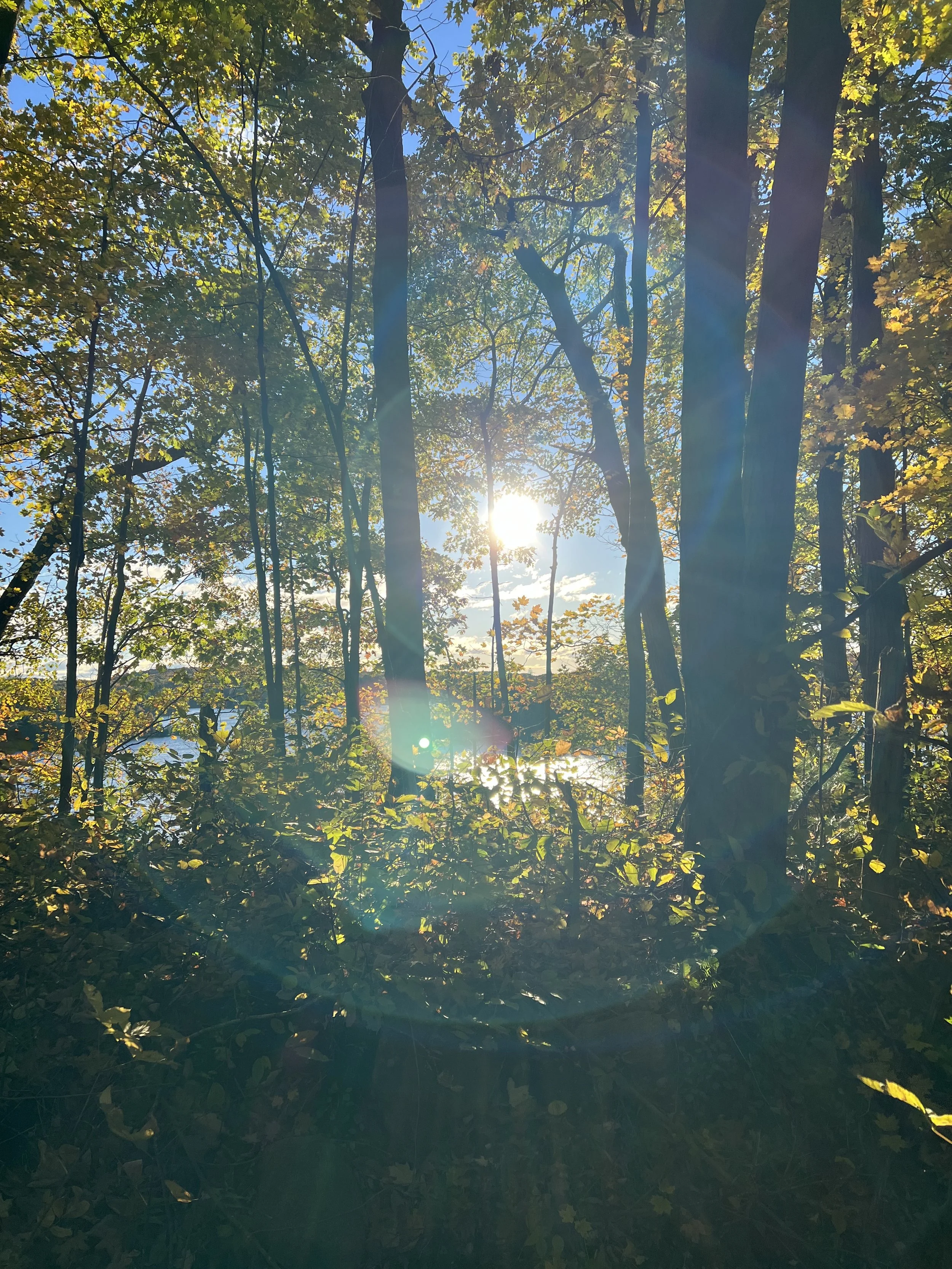IMG_8802.jpeg
