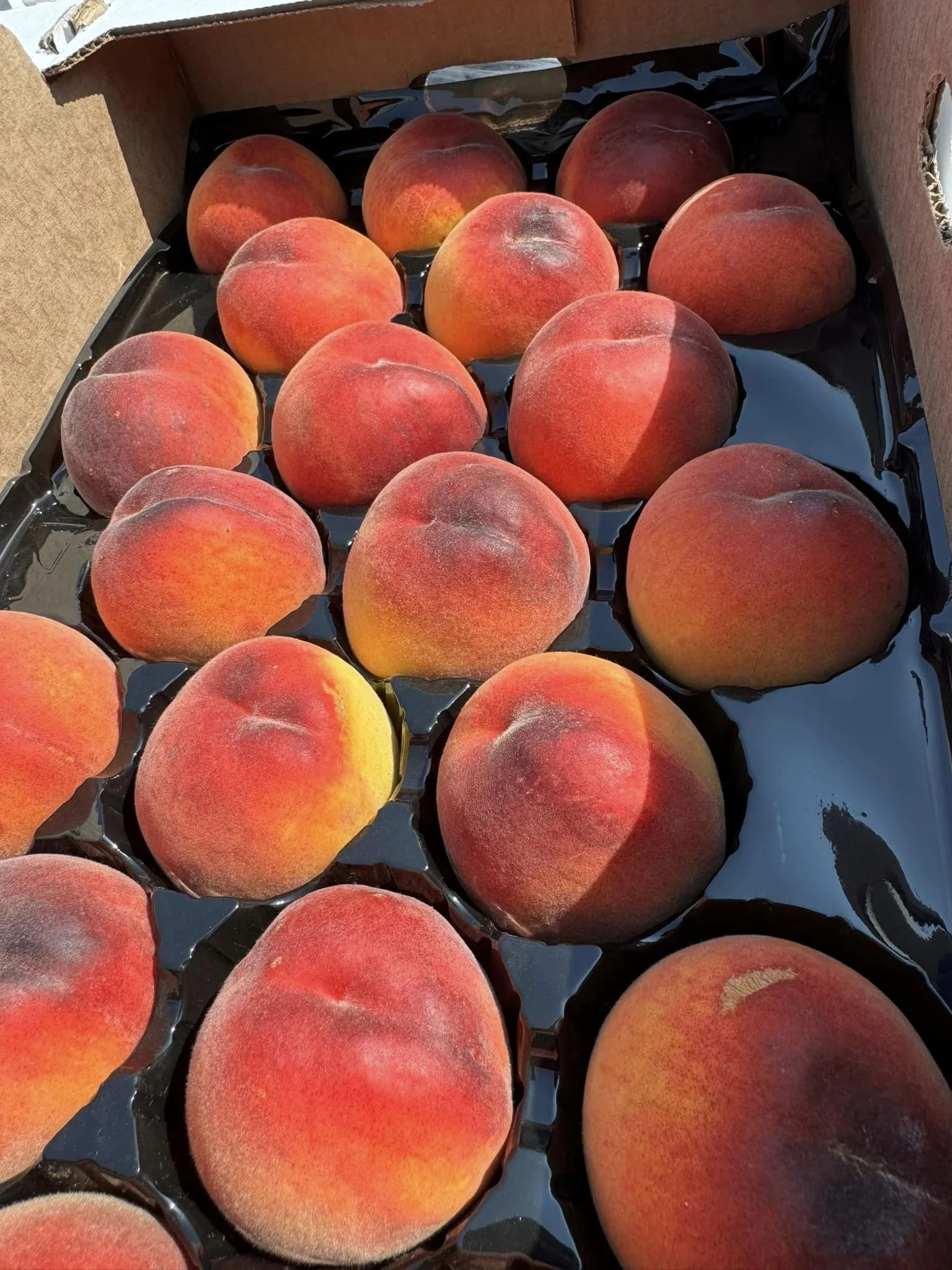 Peaches