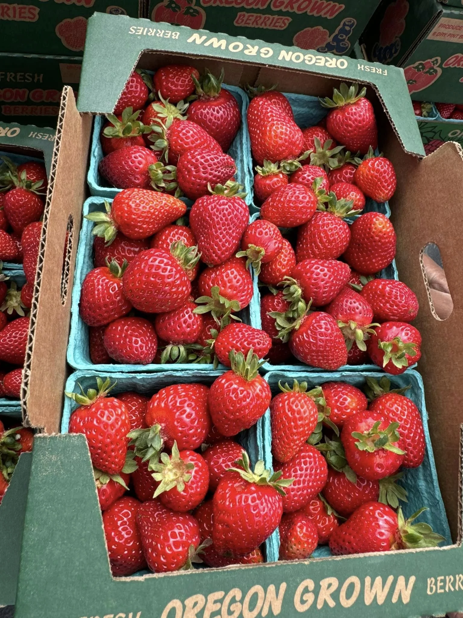 Fresh, red strawberries in a green cardboard box with blue compartments.