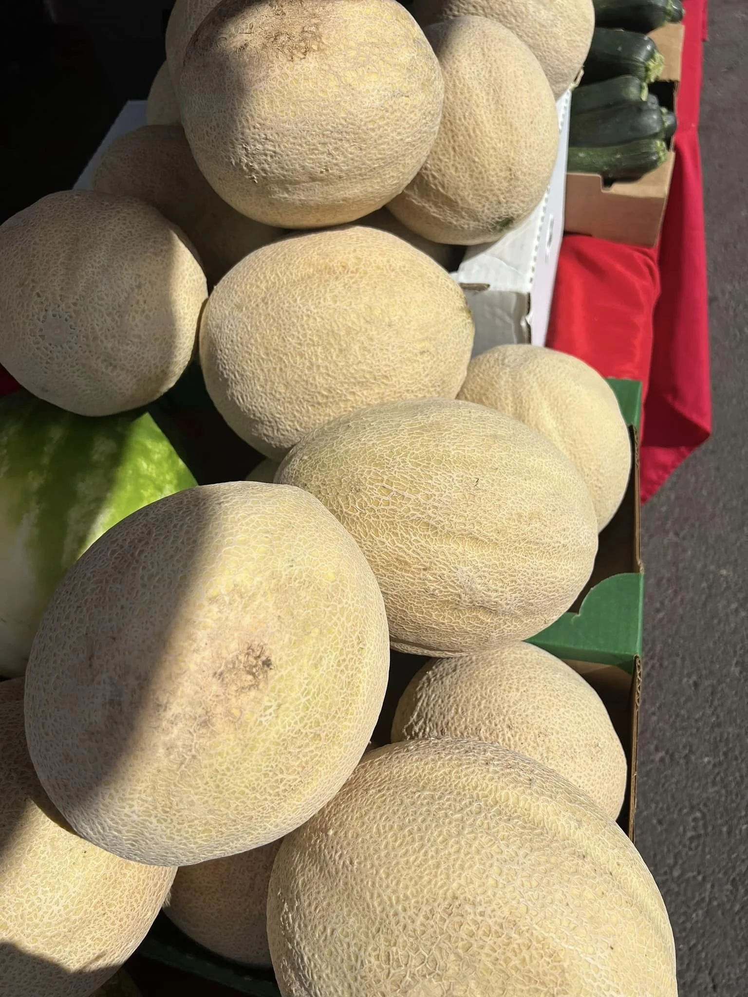 Cantaloupe