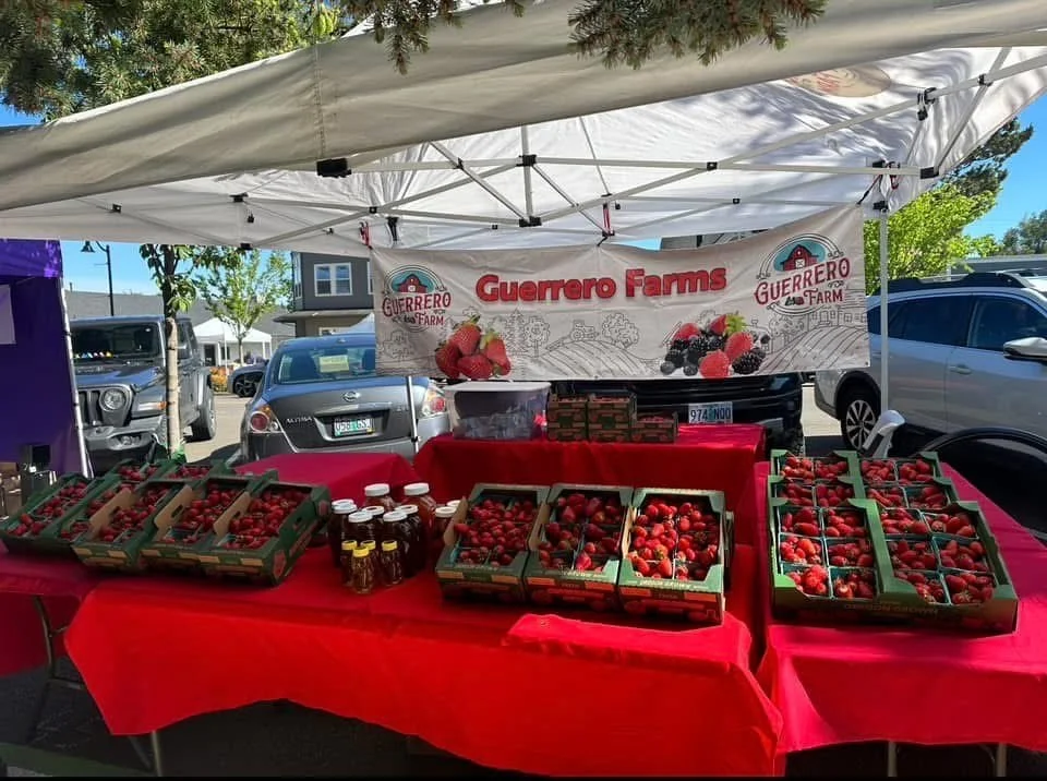 A farmer's market stall with strawberries and blackberries in green boxes on a red-covered table, a banner that reads 'Guerrero Farms,' and parked cars behind the stall.