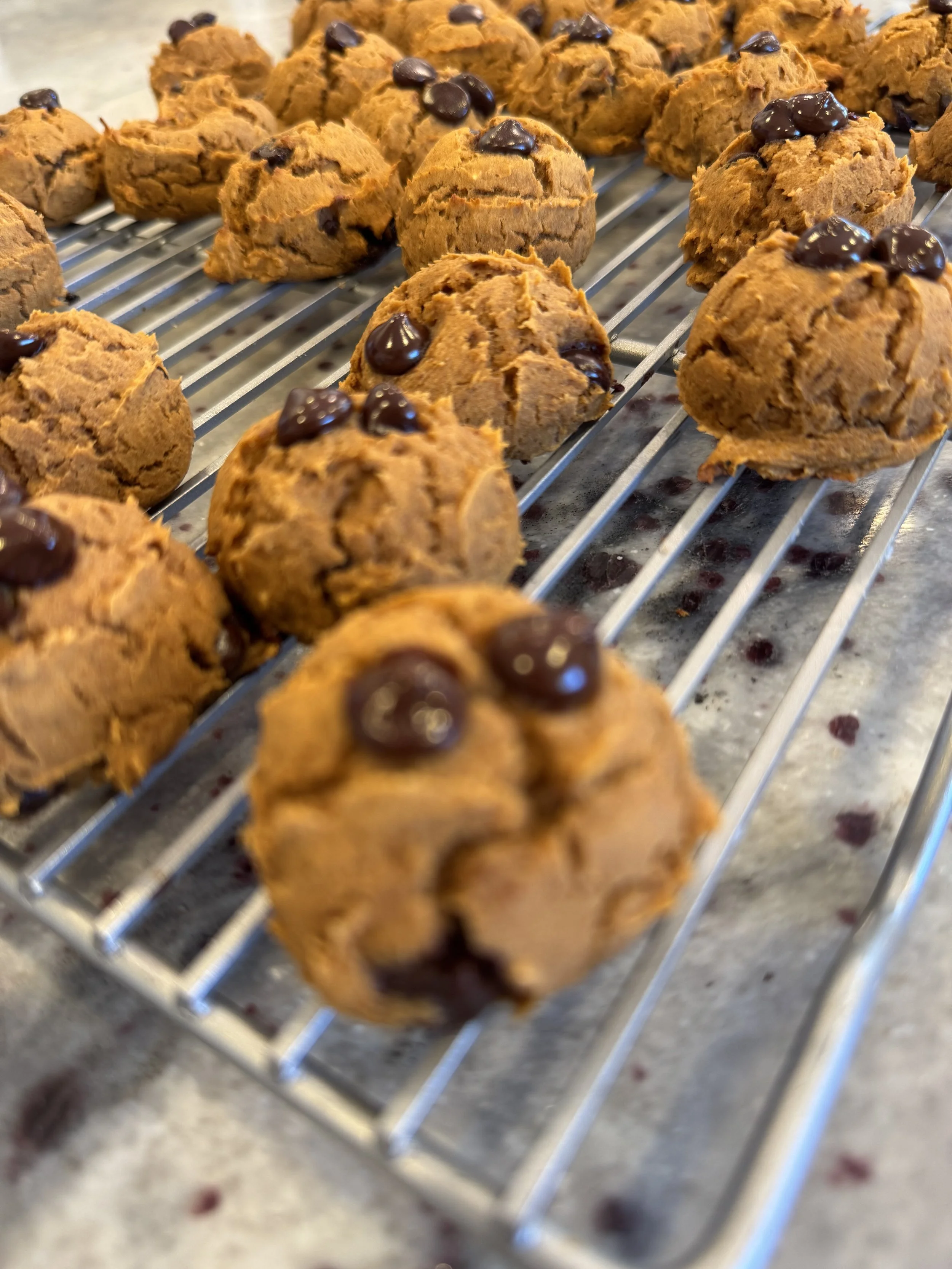 Macro friendly protein pumpkin cookies