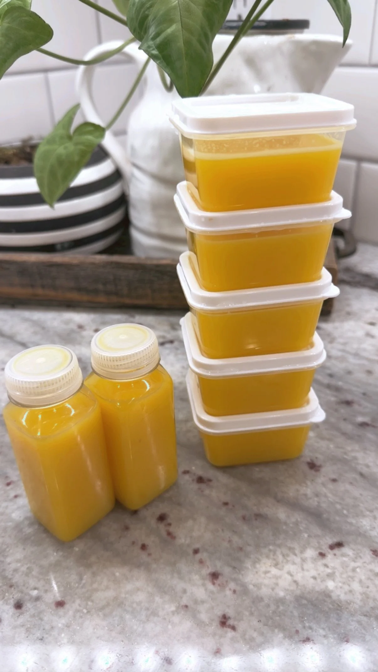 Homemade wellness shots