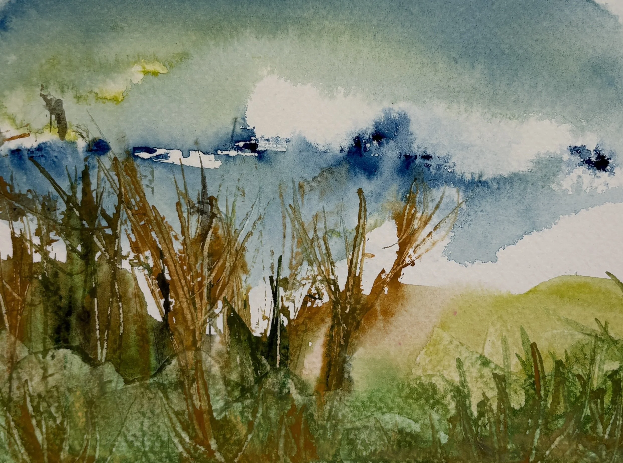 "Brambles" Watercolor 5x7"