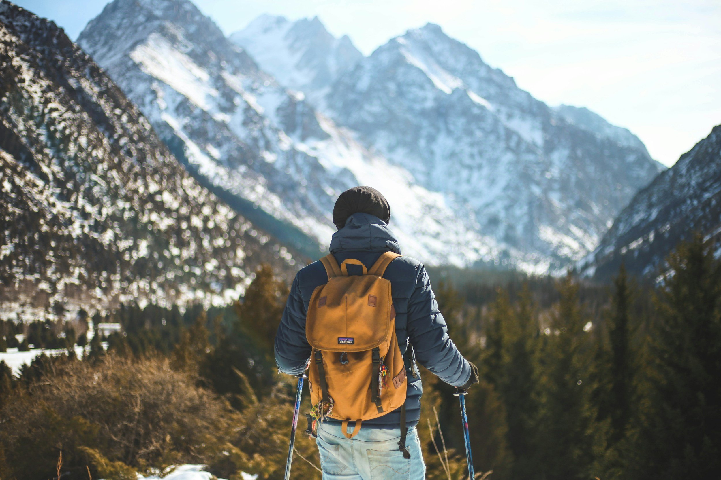 The Ultimate Status for the Super Rich: Mastering Physical, Mental Wellness, and Aesthetic Excellence