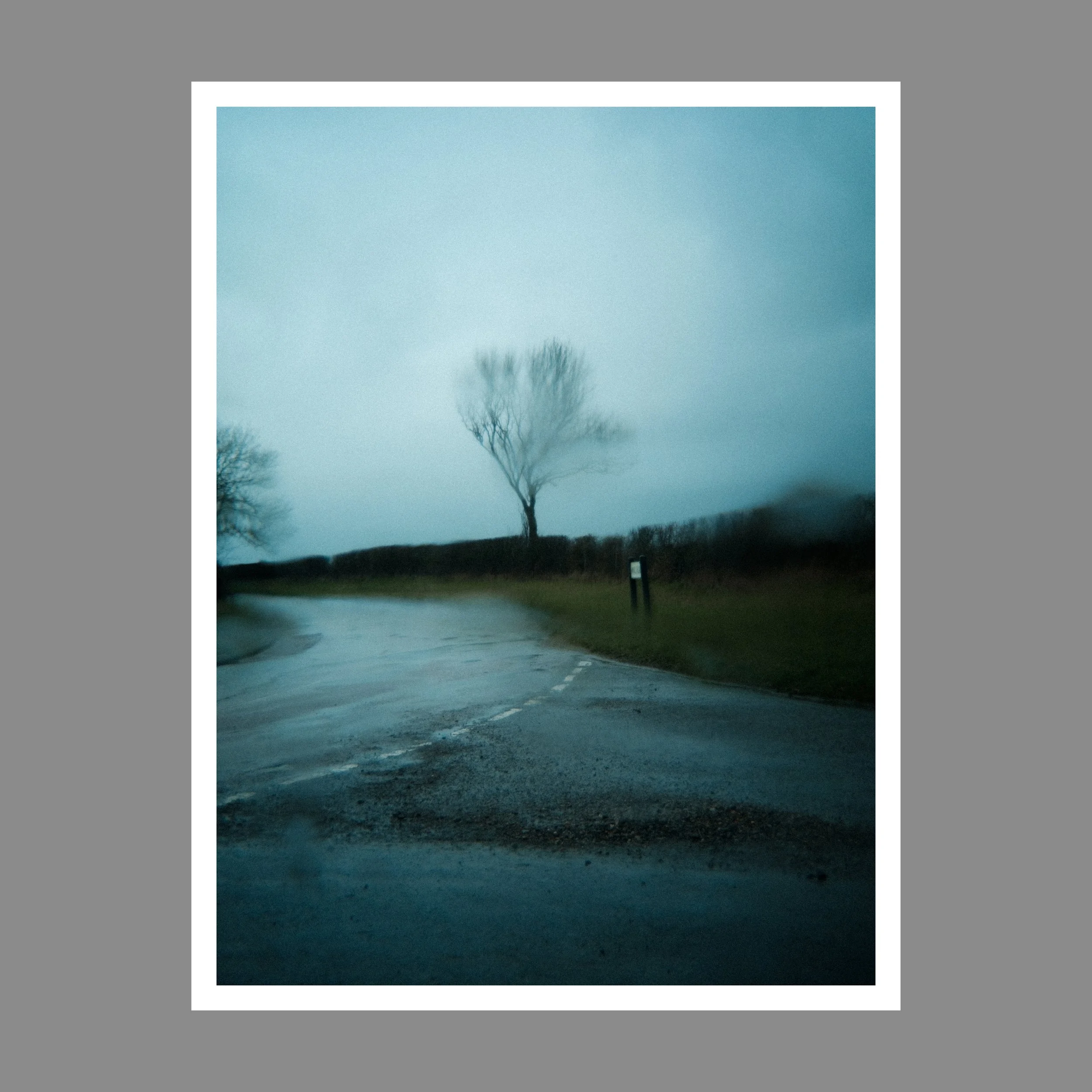 February Rain_01.jpg