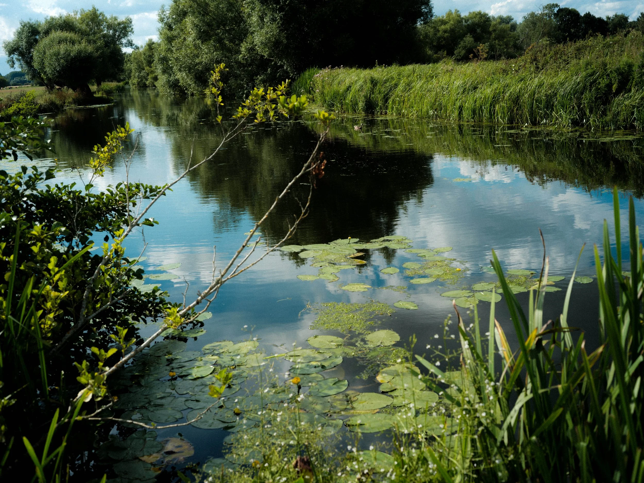 DSCF0014-2.jpg