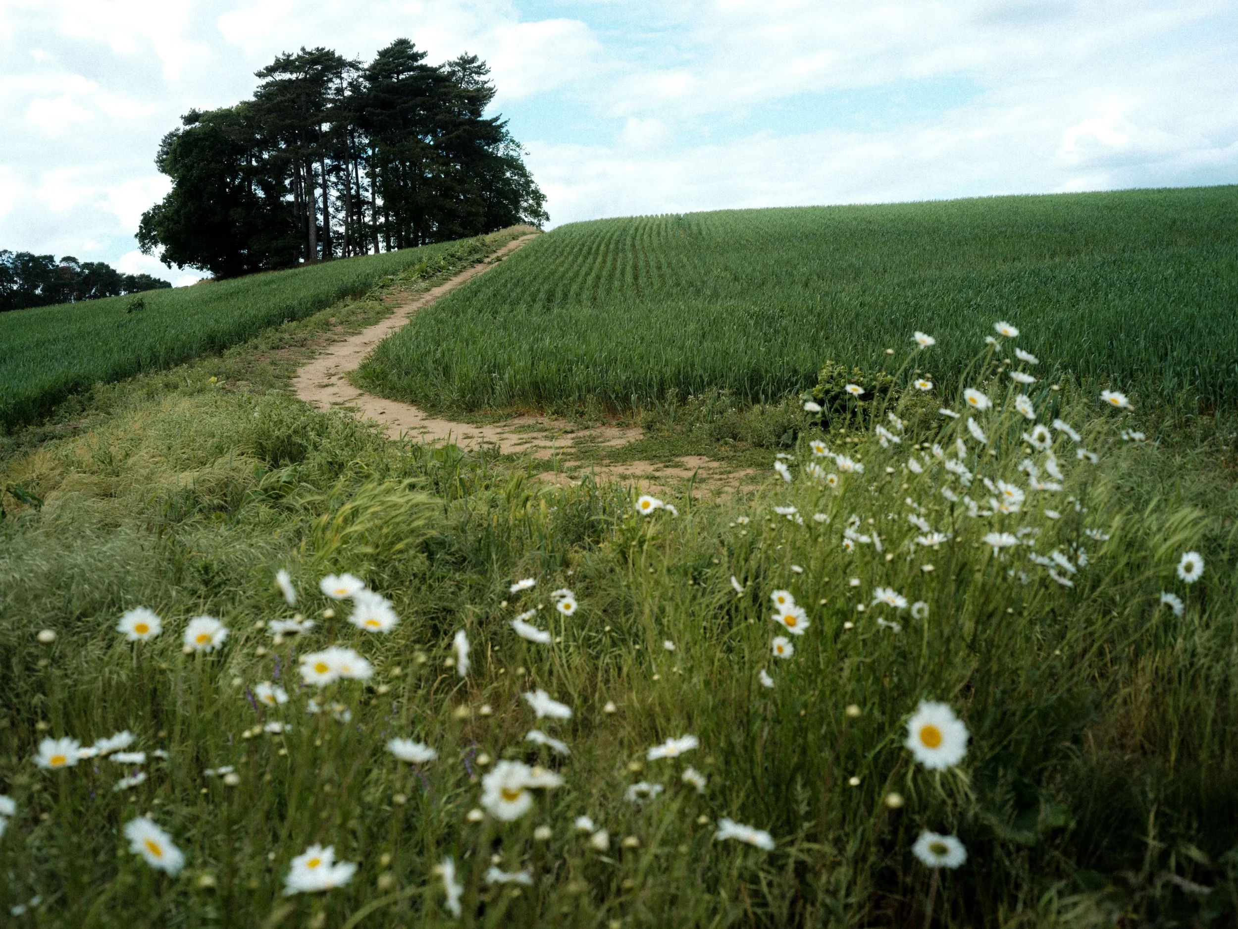 CS_2026_007.jpg