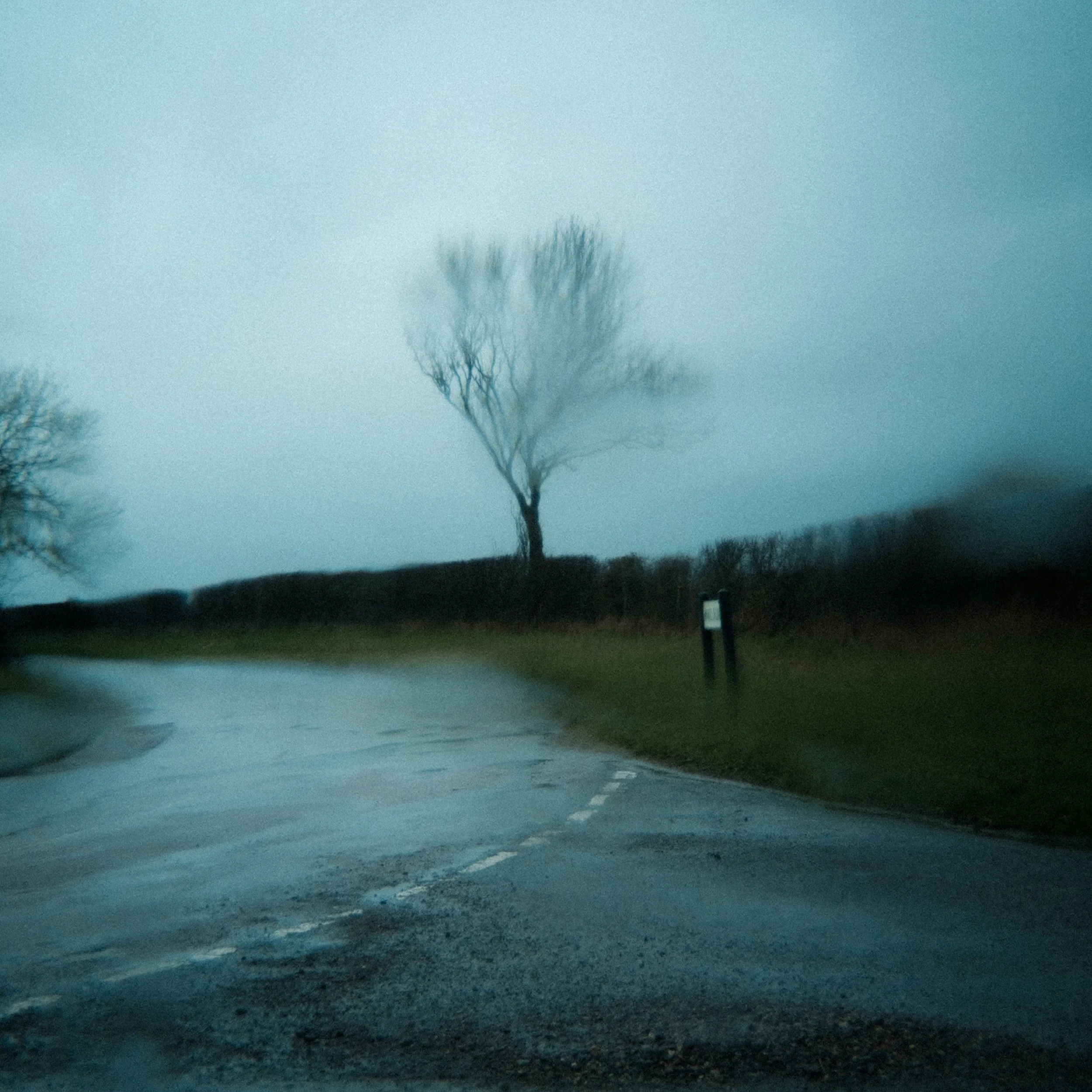 February Rain_02.jpg