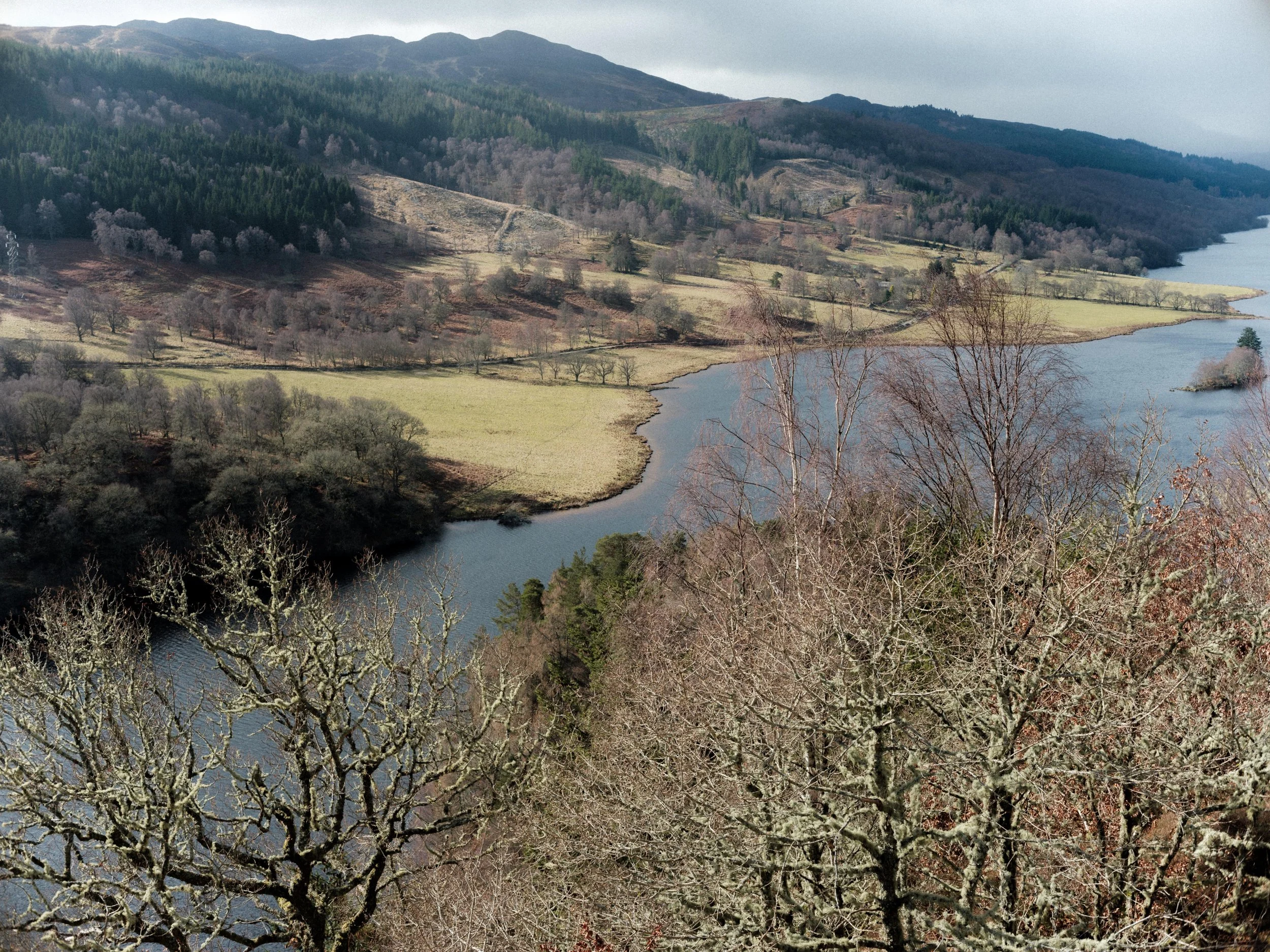 DSCF2231.jpg