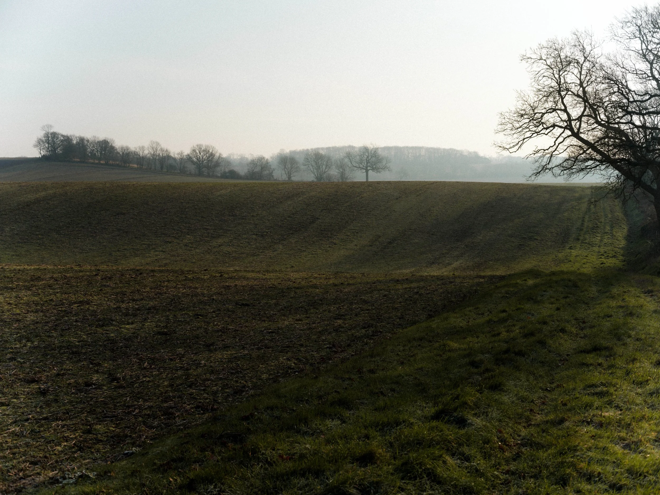 DSCF1163.jpg