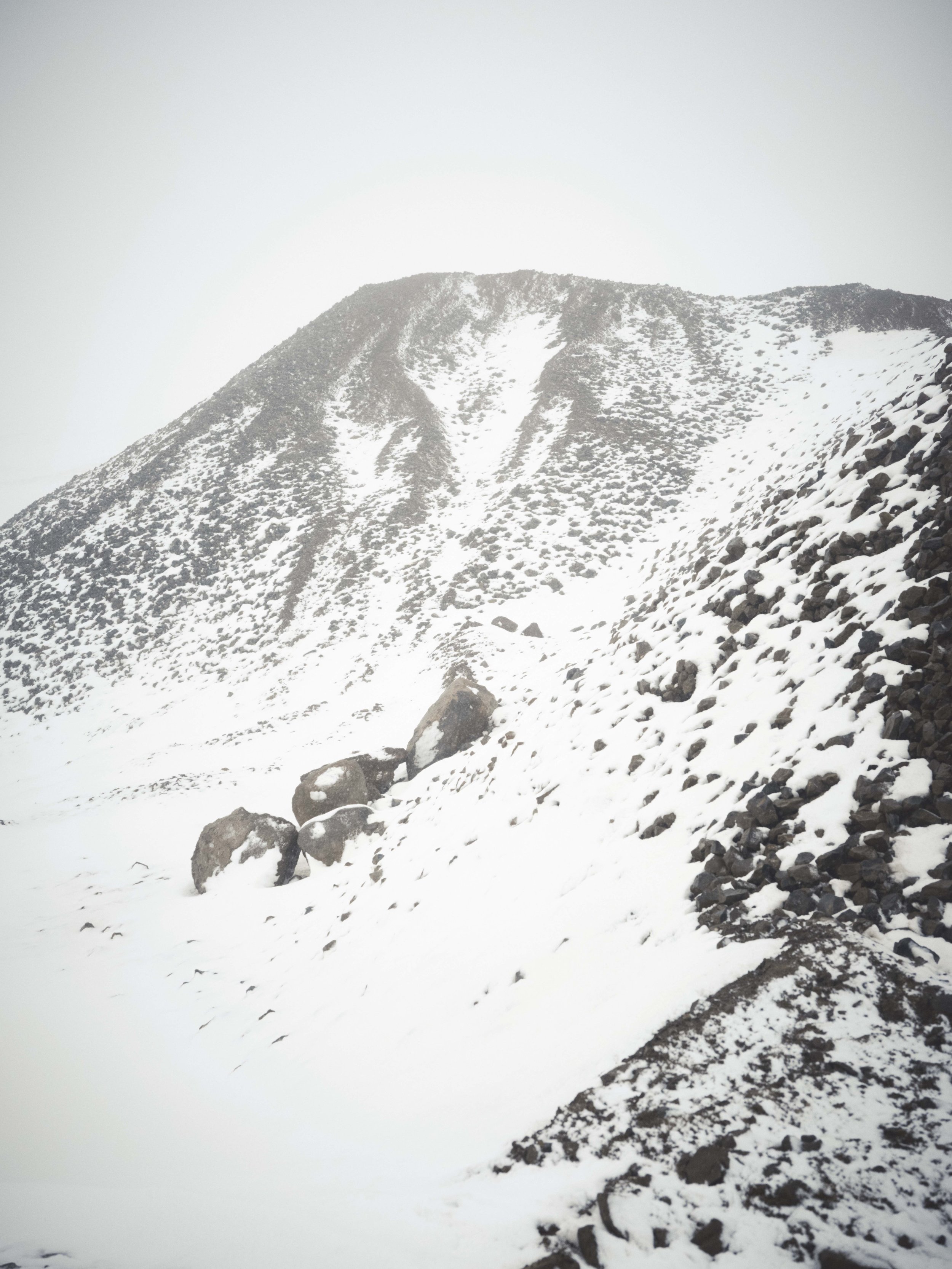 MONOPRIX_Nordic Tale_Look 17_1583.jpg