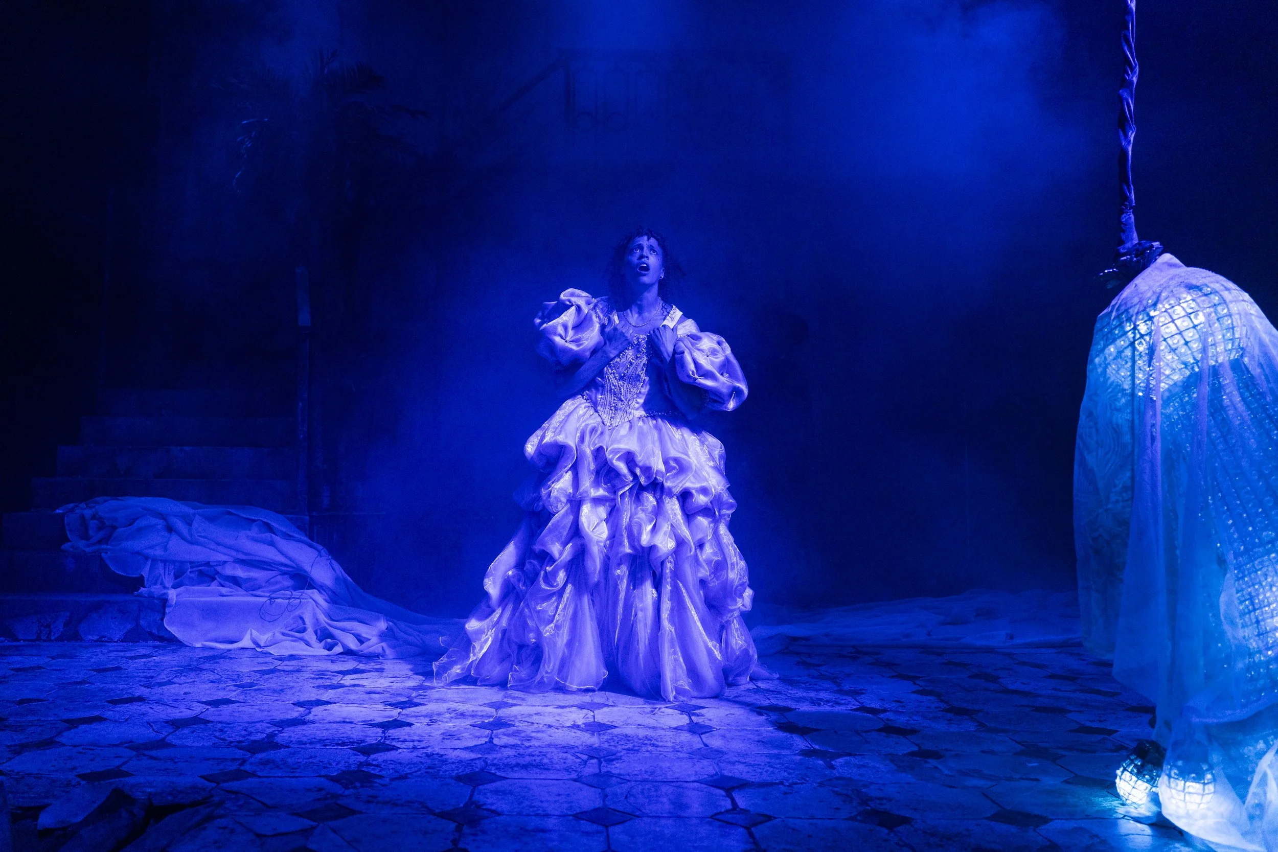 Twelfth Night 20260014.jpg