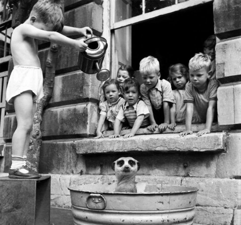 🧫 What Has to Go Right From Conception Through the First Trimester?