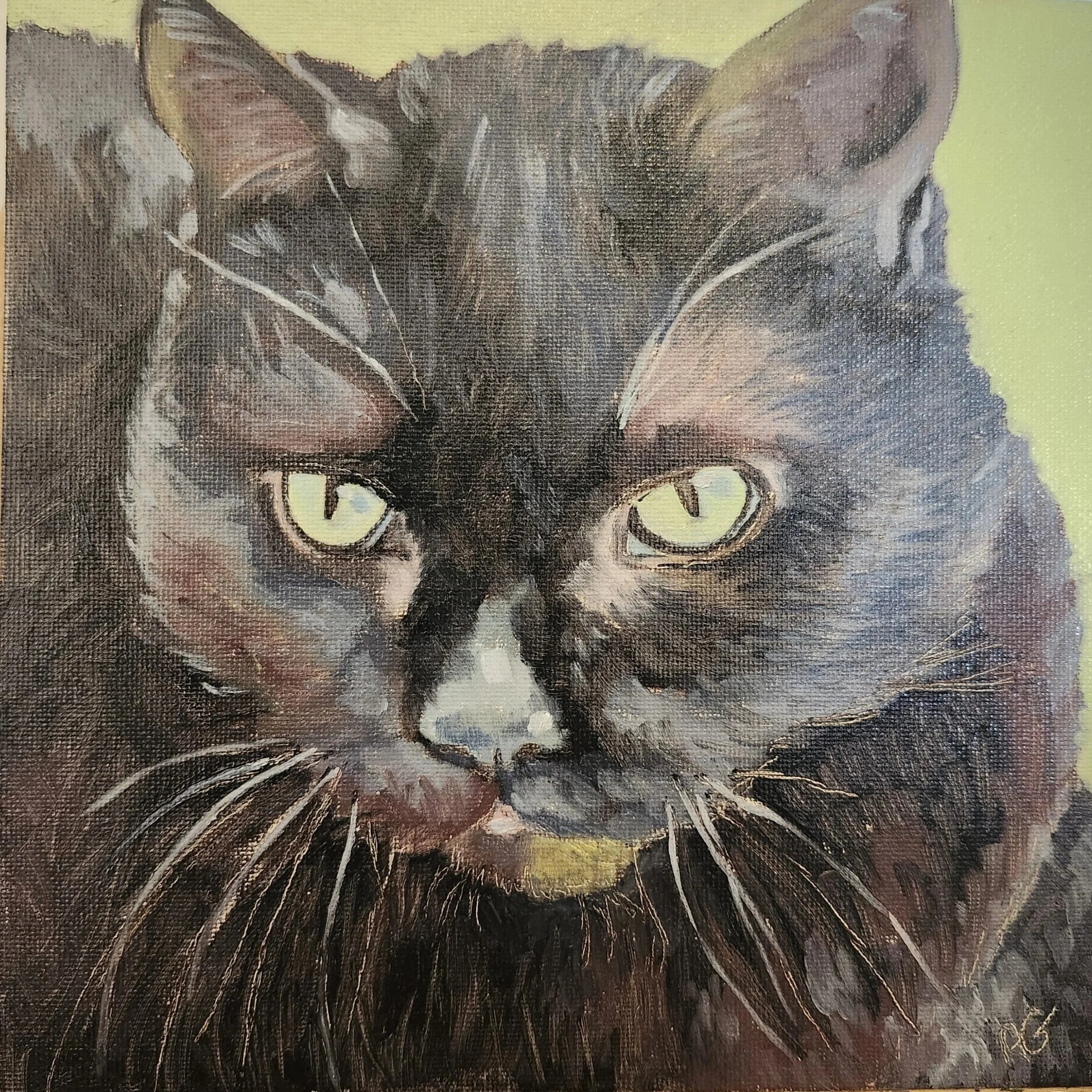 Lucy, 2025. Oil on canvas board - 8 x 8 in / 20 x 20 cm. -SOLD (Commission)