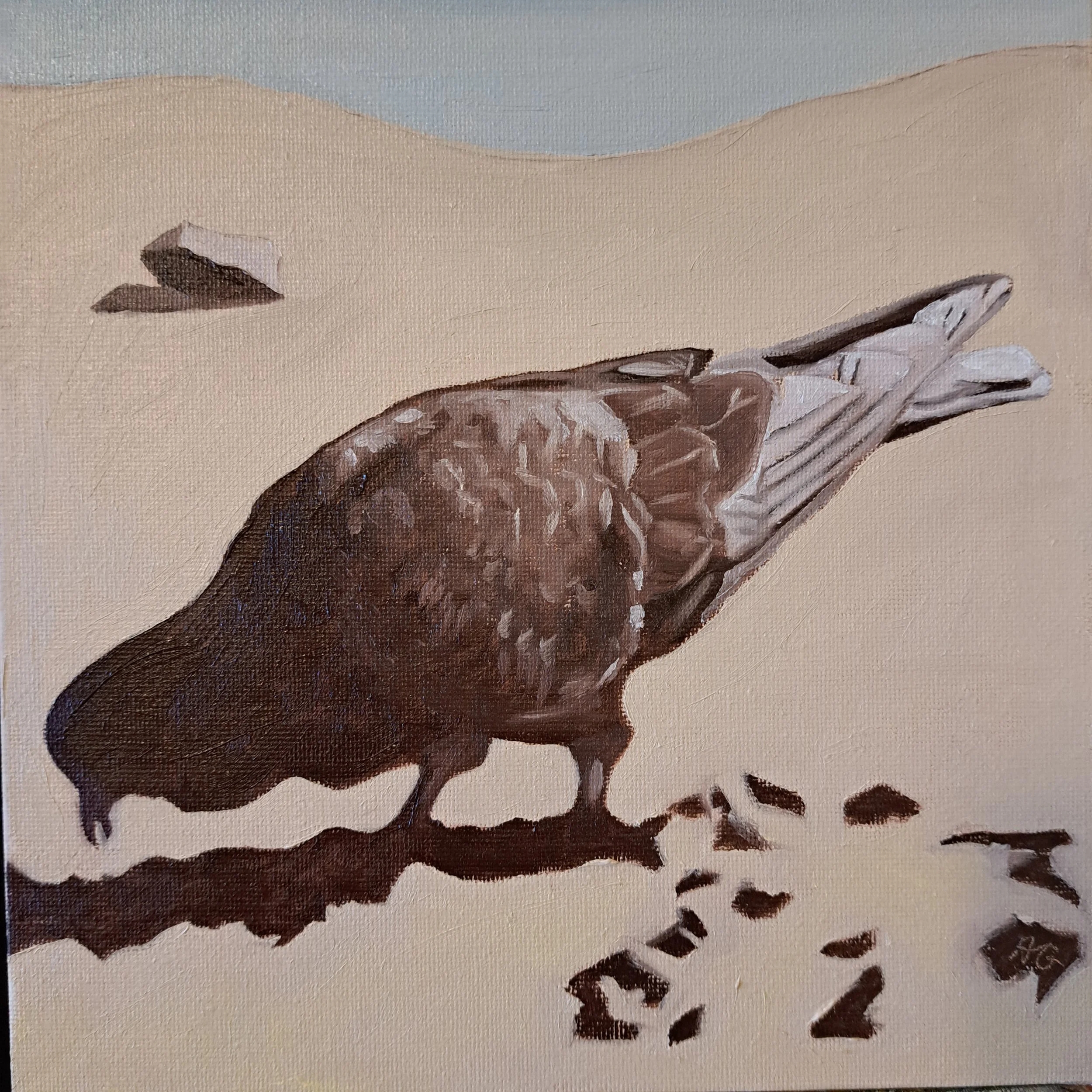 Day 15: Seaside Pigeon, 2024. Oil on canvas board - 8 x 8 in / 20 x 20 cm. - Gifted