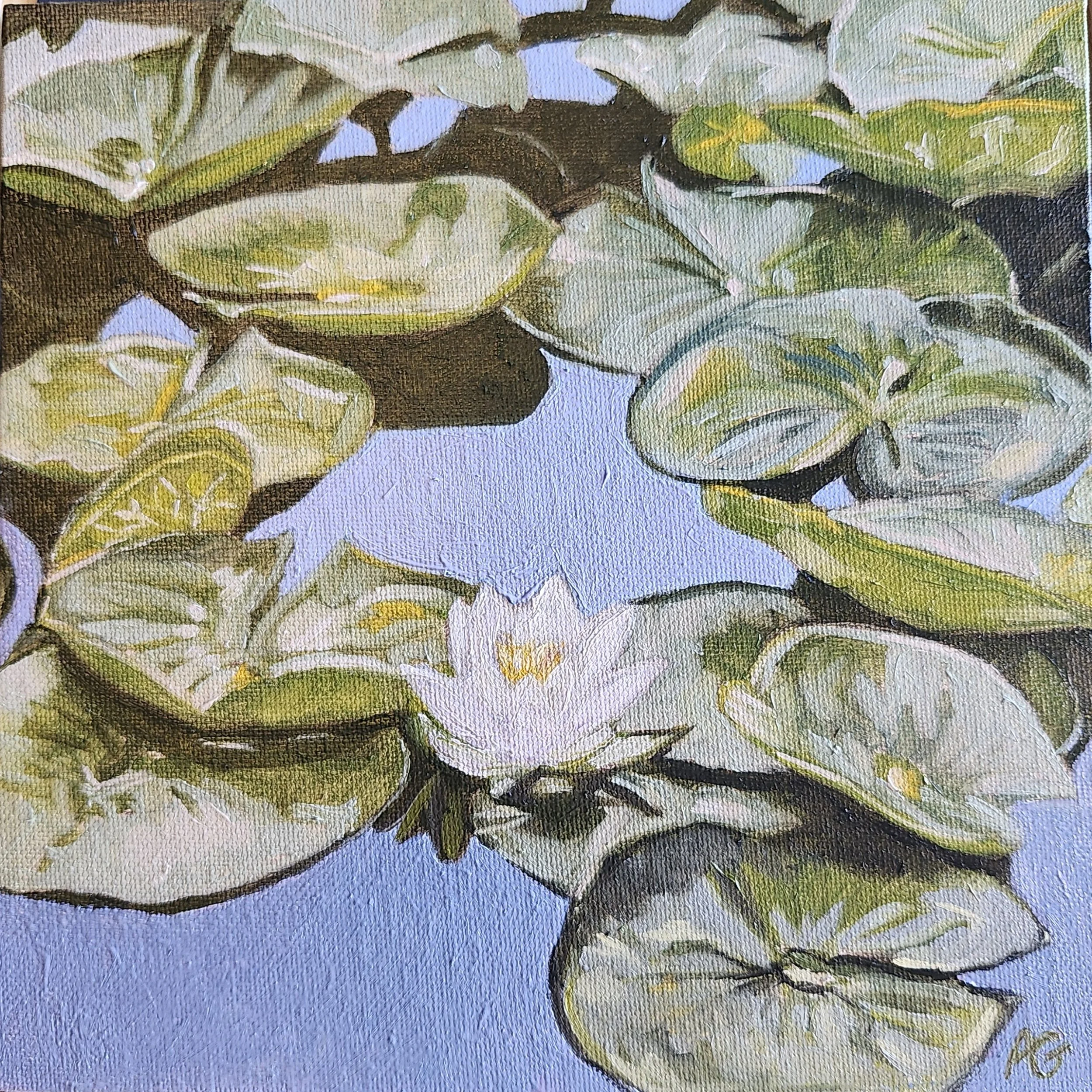 Waterlily, 2025. Oil on canvas board - 8 x 8 in / 20 x 20 cm.